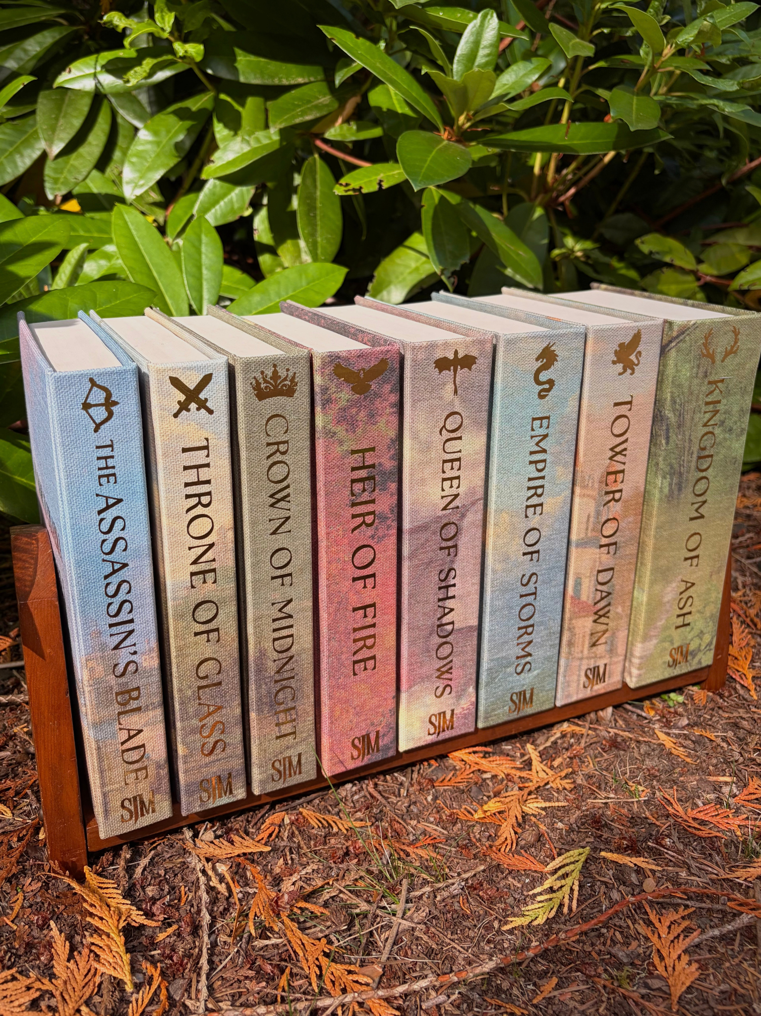 Throne of Glass Full Series