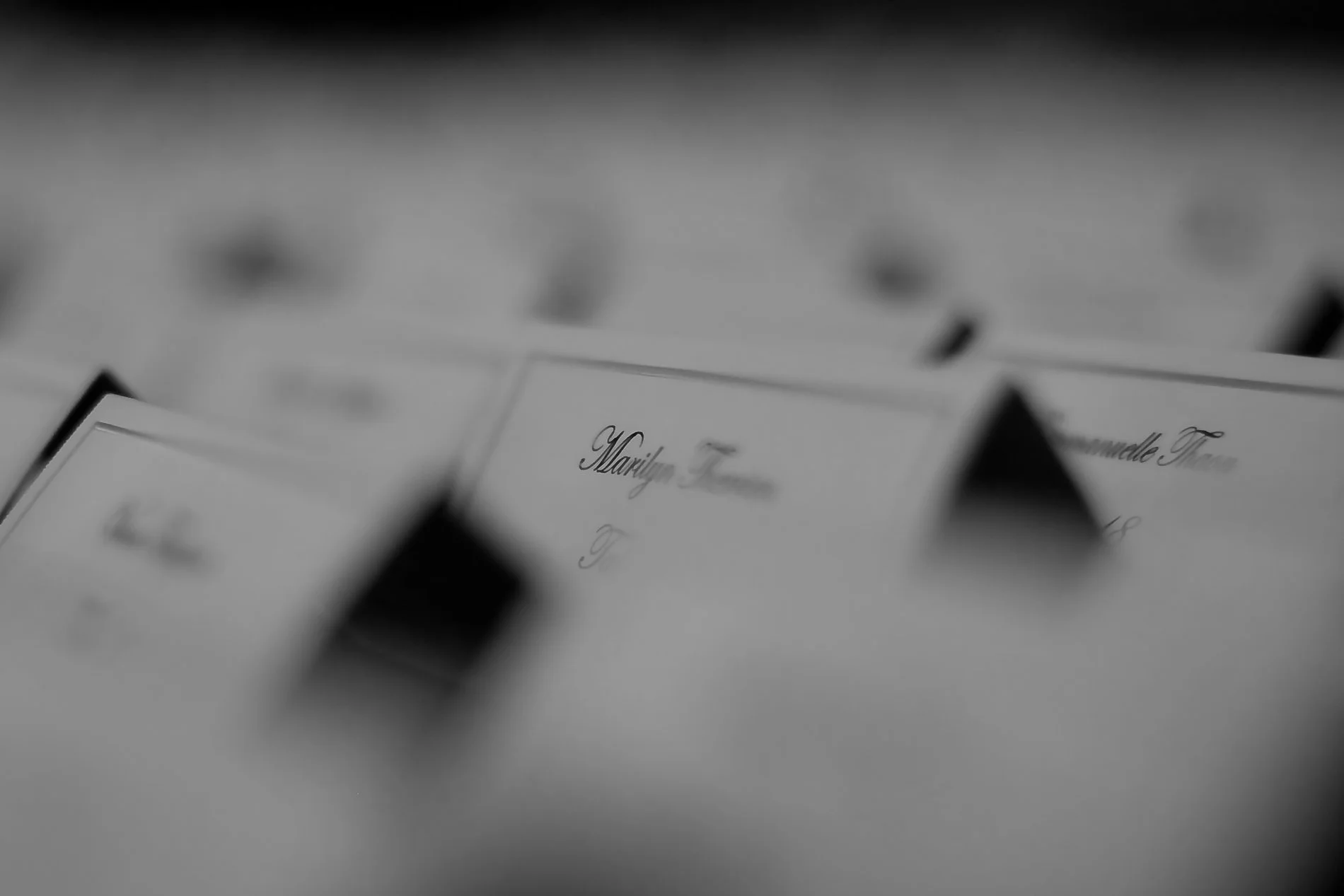 WarrenZelmanPhotography_Events_13.jpg