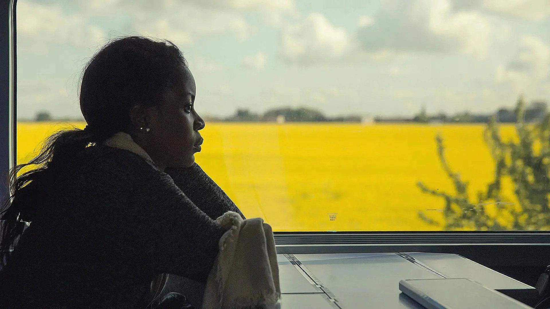 A woman sitting by a window, looking outside at a yellow field and cloudy sky.