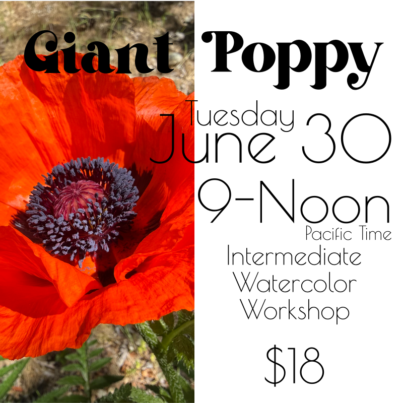 Giant Poppy in Watercolors