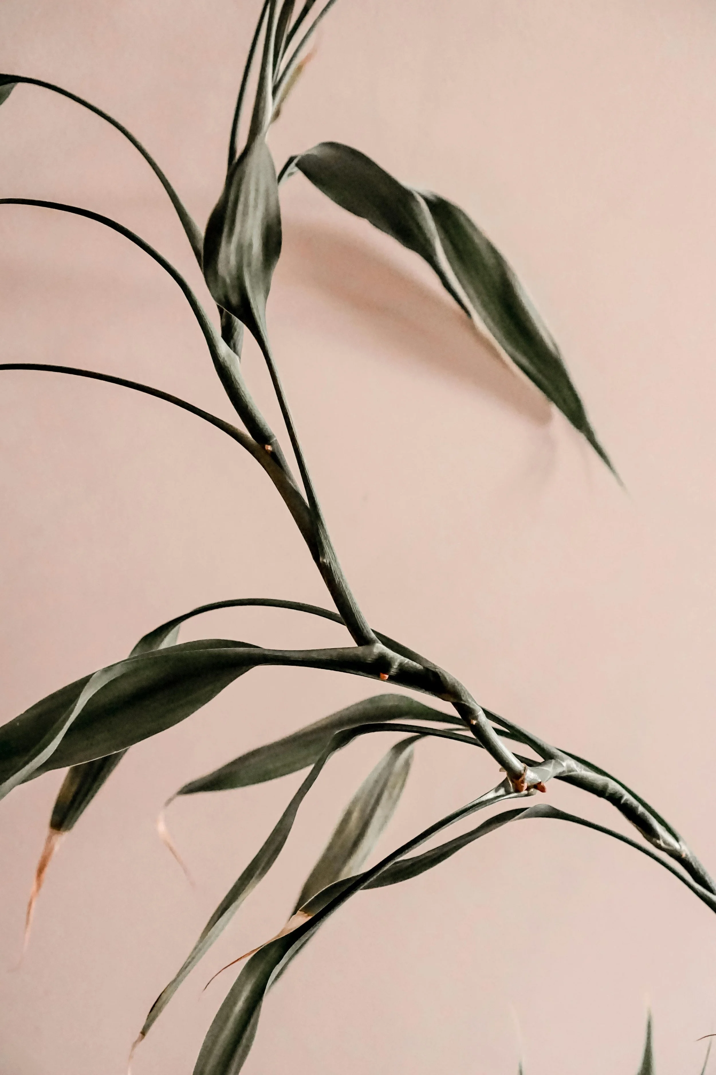 pexels-sandra-filipe-64798-6376841.jpg