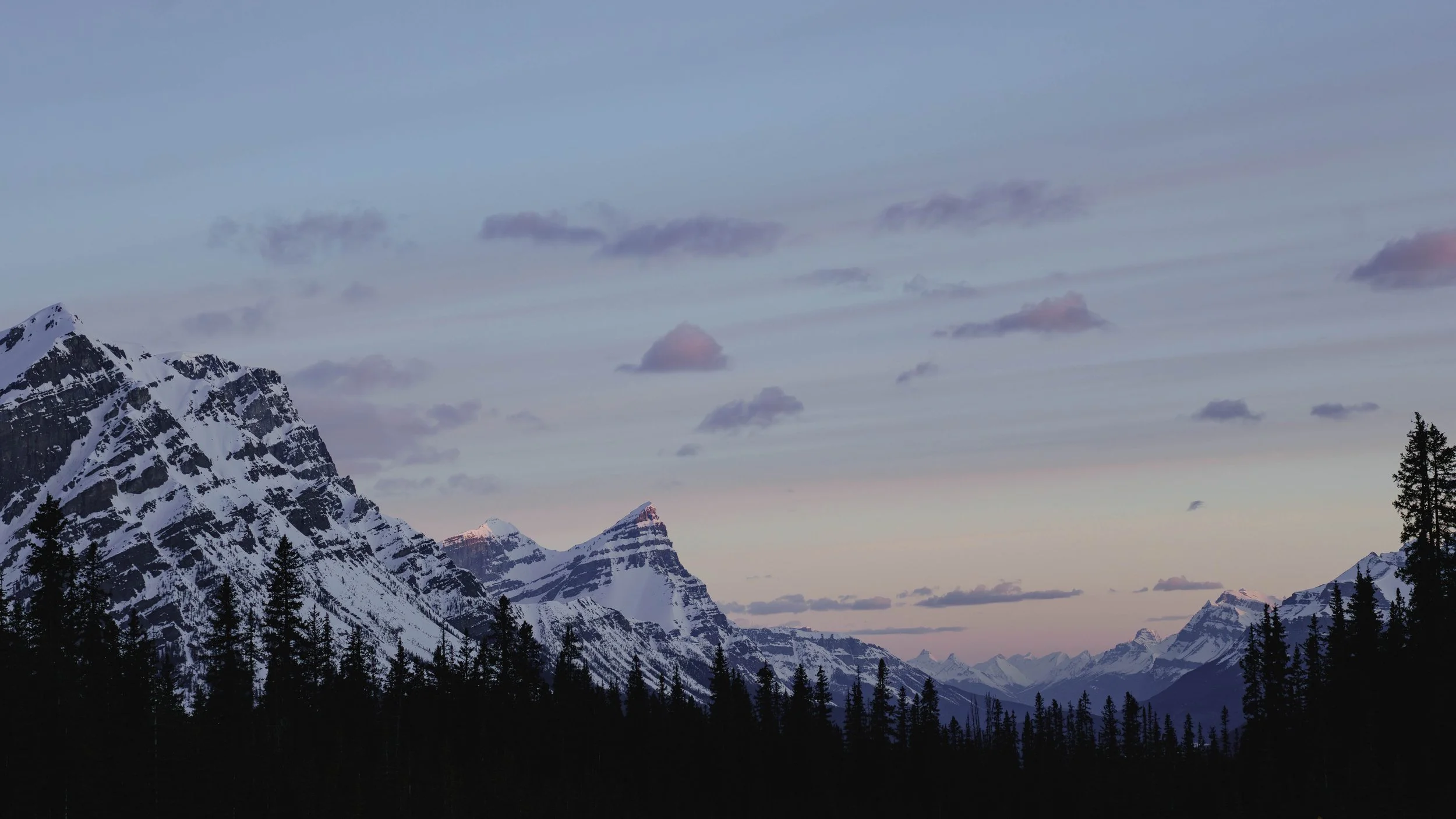 DSC01659-2.jpg