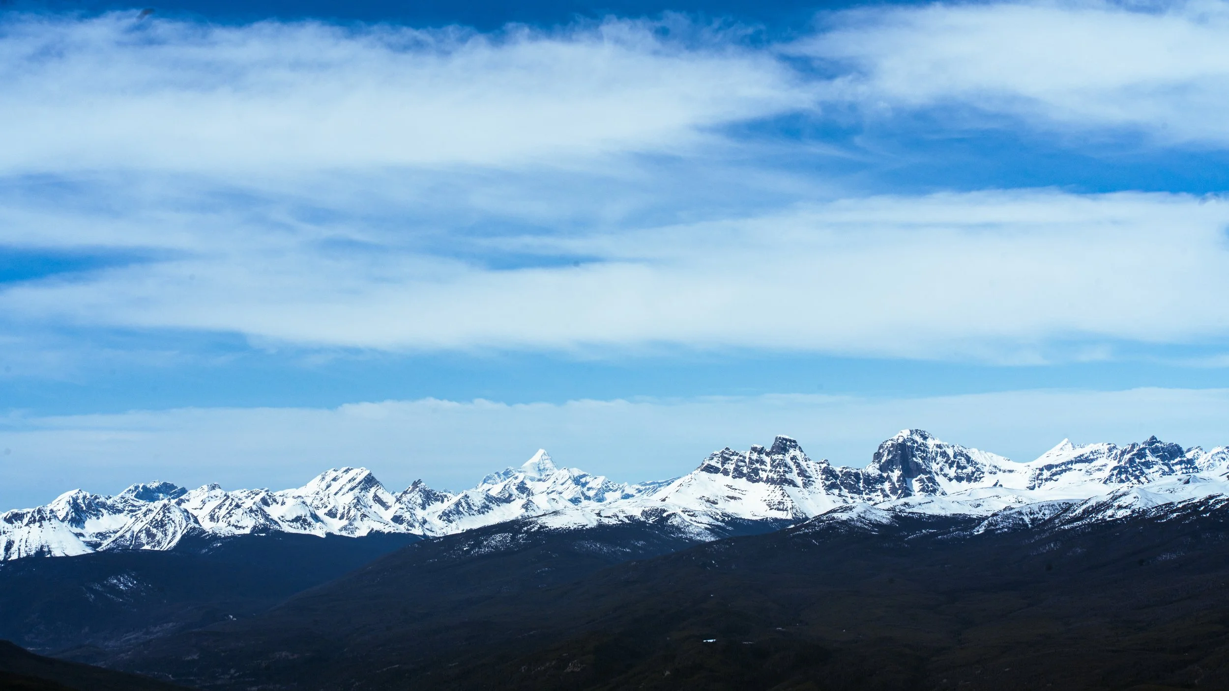 DSC02009 (4).jpg