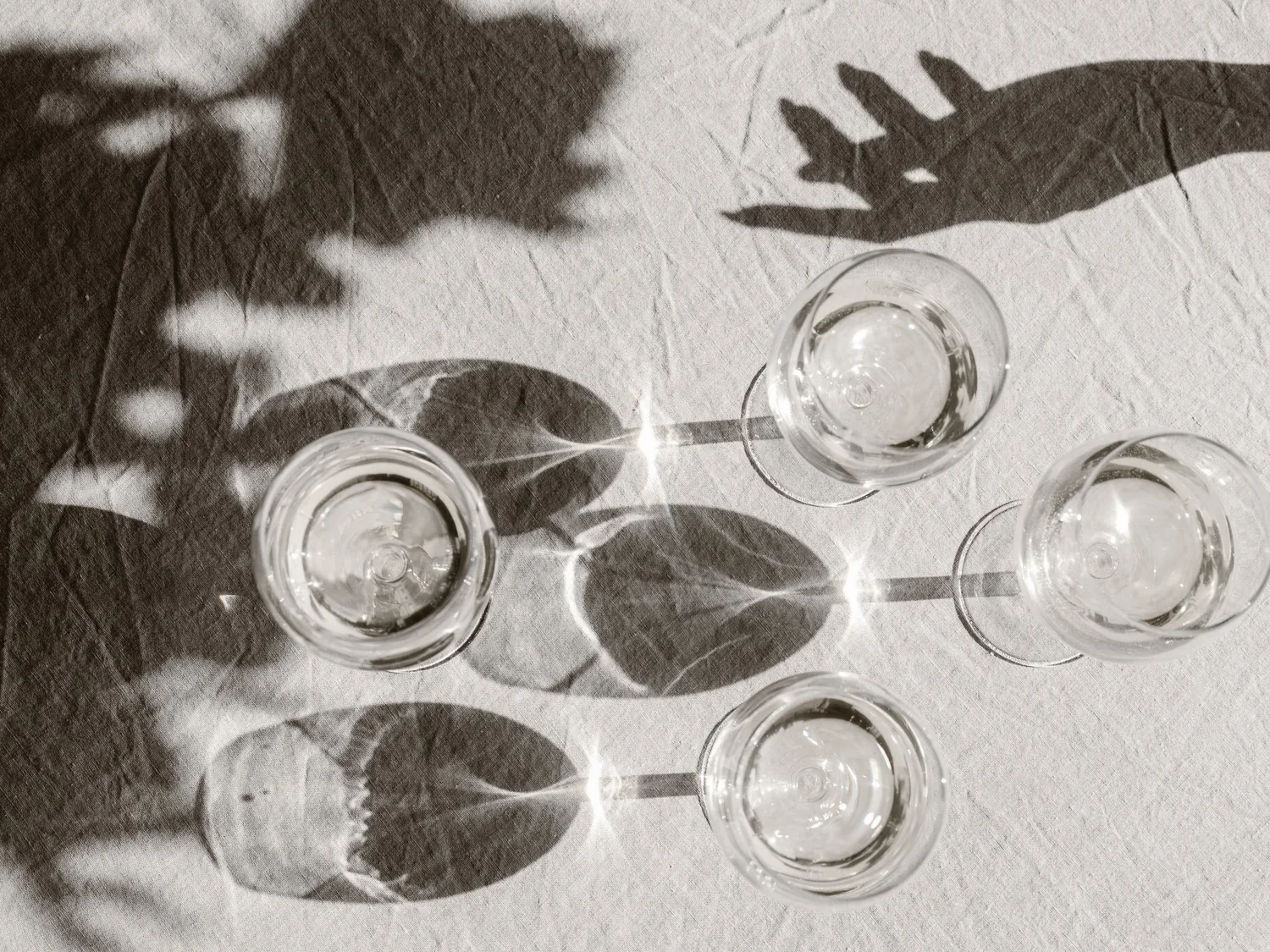 Four empty clear wine glasses on a white textured tablecloth with shadows of leaves cast by sunlight.