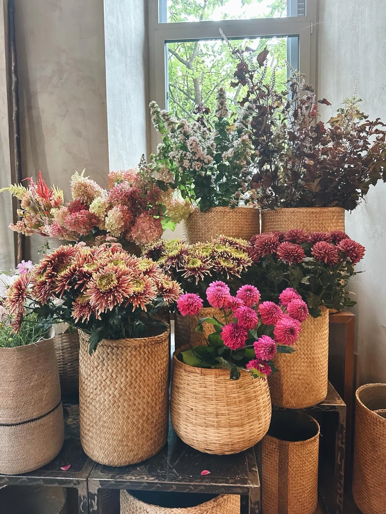 A few pieces of Italy from the camera roll