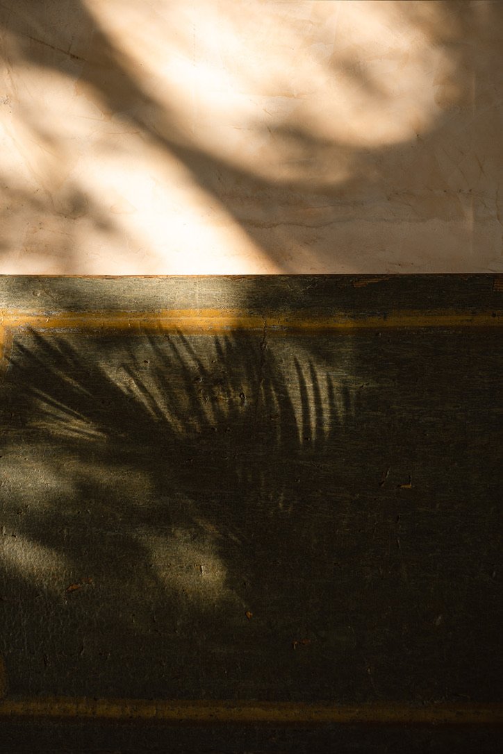 A shadow of a palm leaf cast onto a surface, with the upper part showing a light-colored wall and the lower part showing a dark wood or black surface.