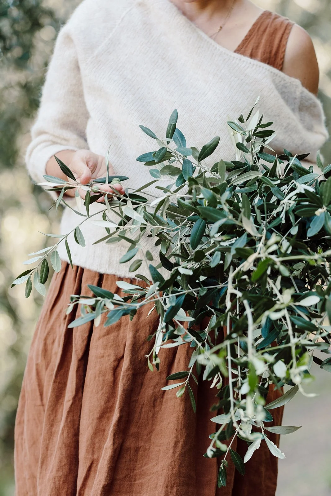 Person holding a bunch of green olive branches, wearing a cream sweater and brown skirt, with a blurred outdoor background.