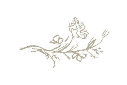 A decorative illustration of a butterfly perched on a branch with leaves.