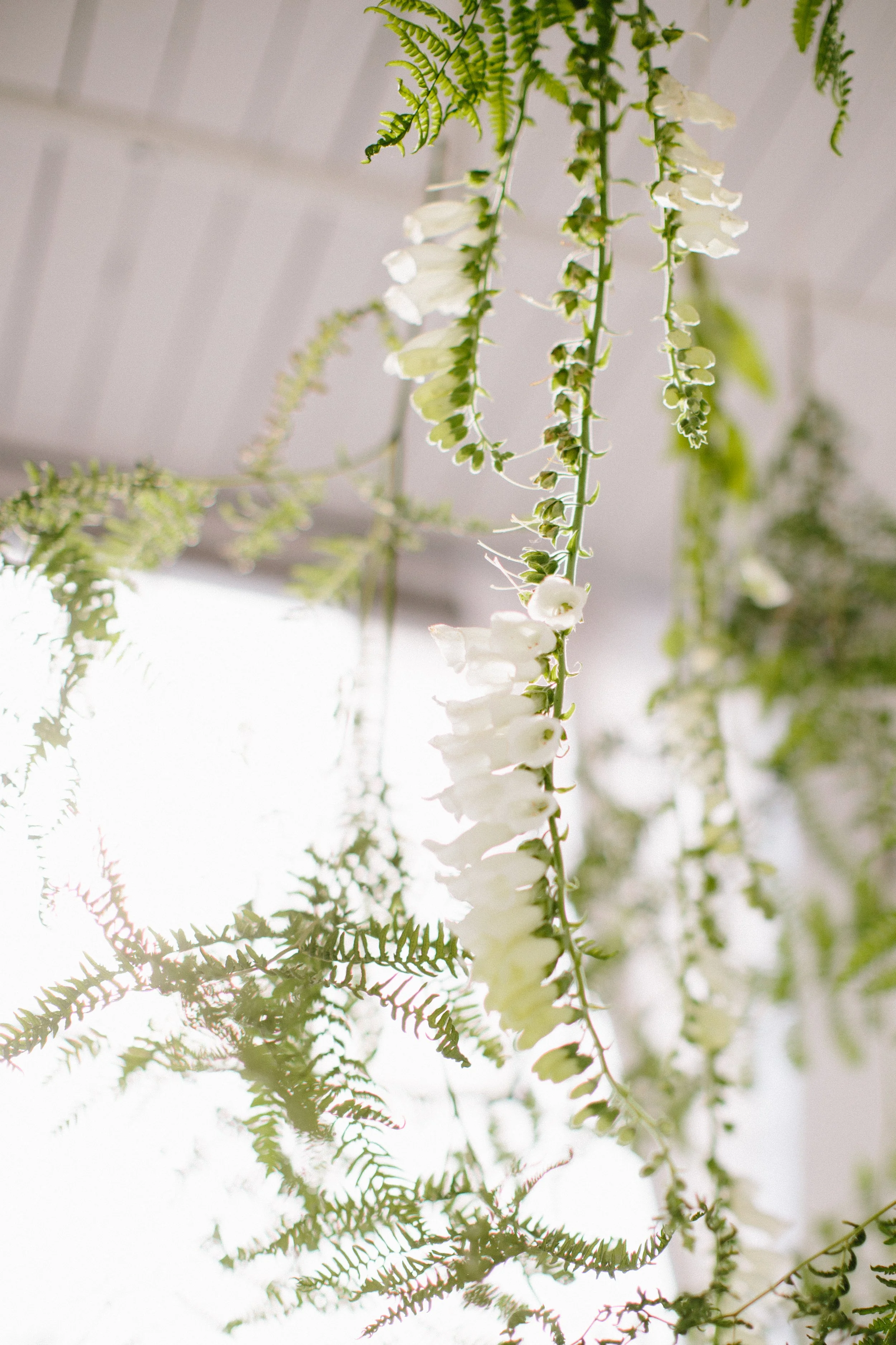 Hanging white flowers with green fern leaves on a ceiling.