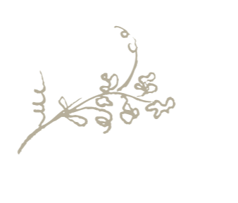 Decorative floral design with swirling branches and small flowers.