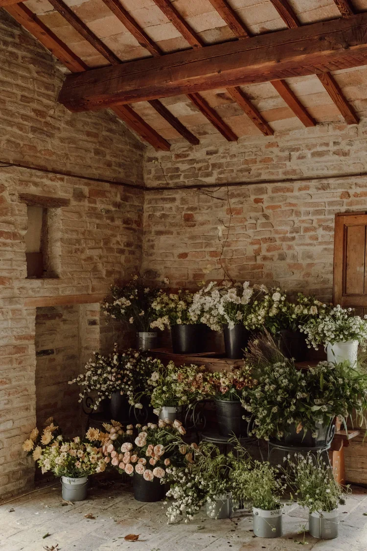 Arrangement of various potted flowers, mainly white and pink, placed on shelves and floor inside a rustic brick-walled room with a wooden ceiling.