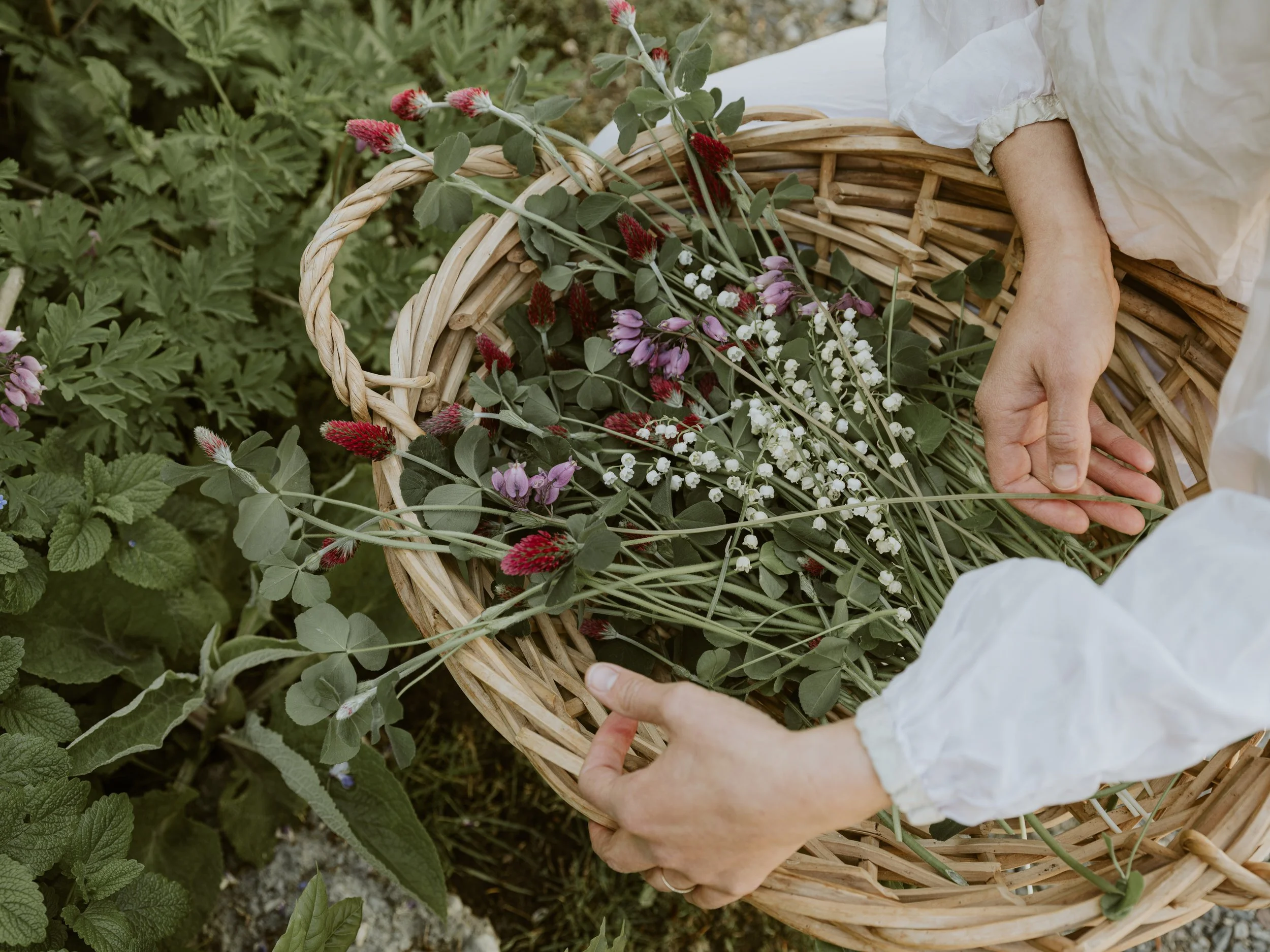 Person collecting a basket of wildflowers in a garden or field.