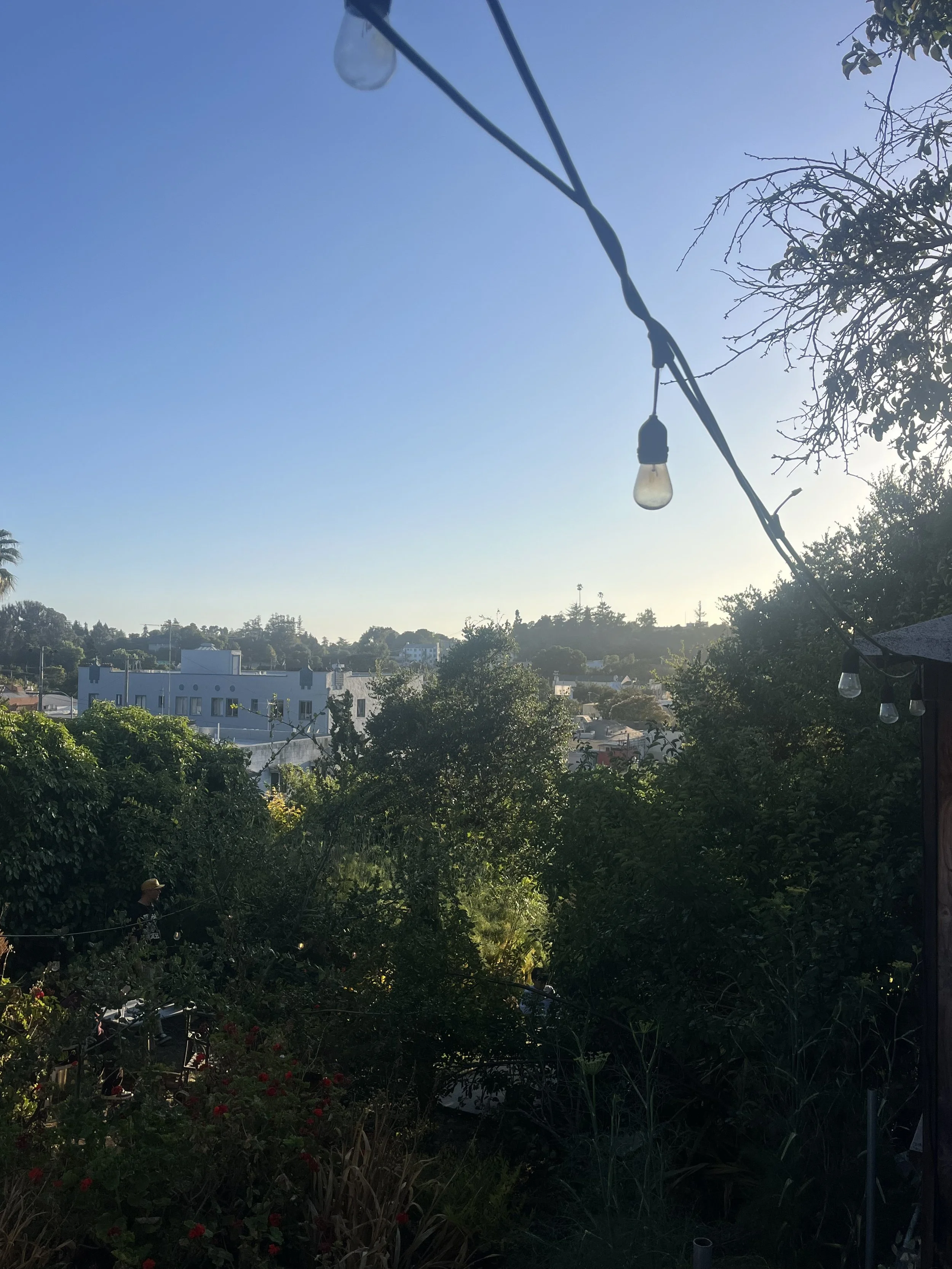 Where Passion Meets Purpose: Inside Oakland’s Hidden Backyard Venue