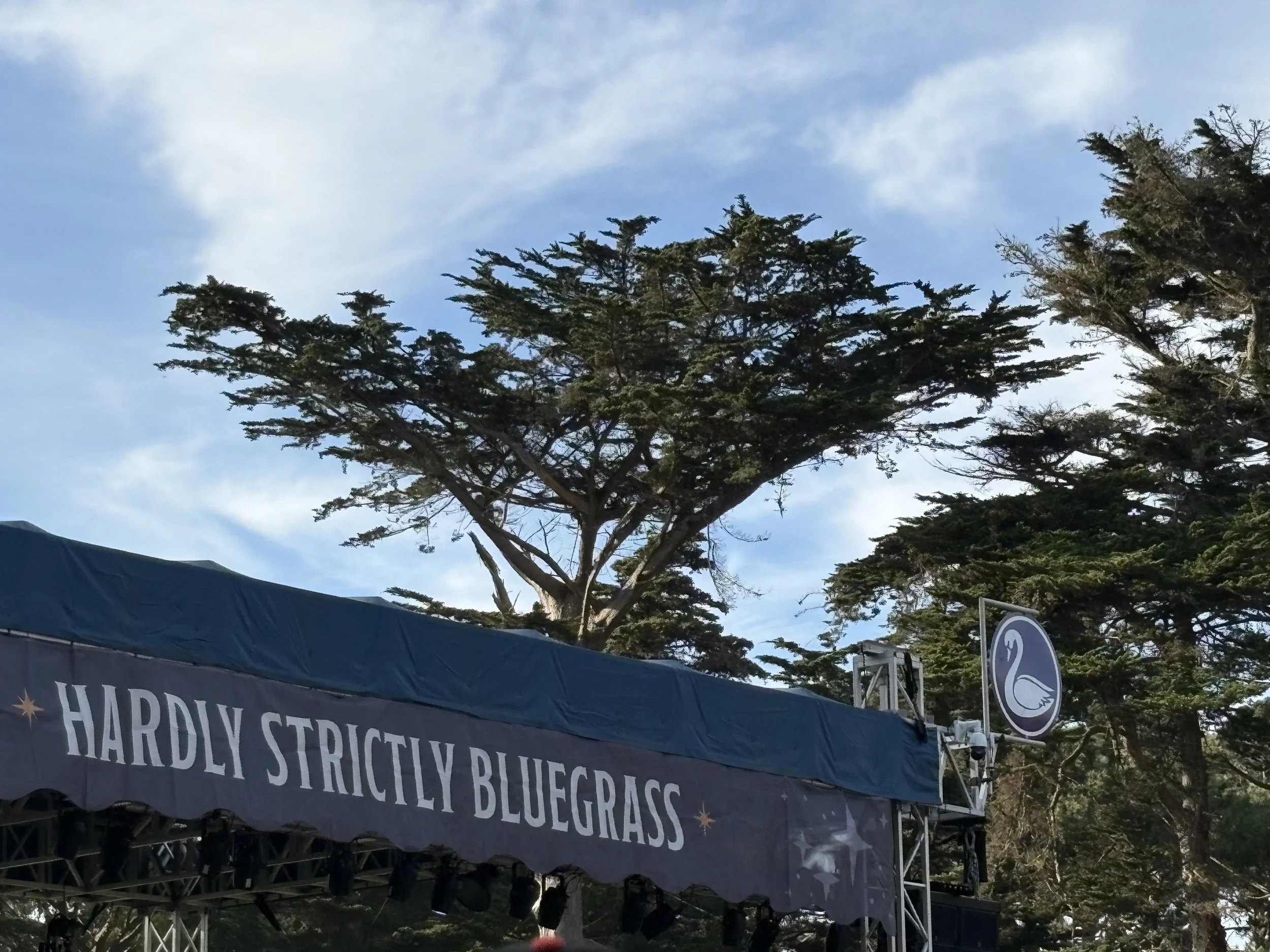 Hardly Strictly Bluegrass brings in people from all over, but why?