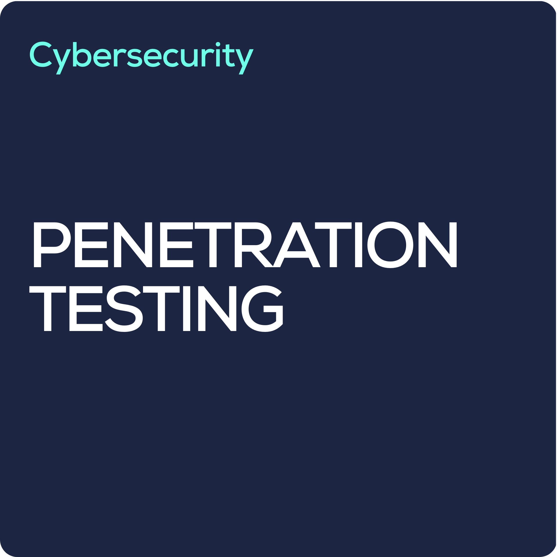 Penetration Testing.png