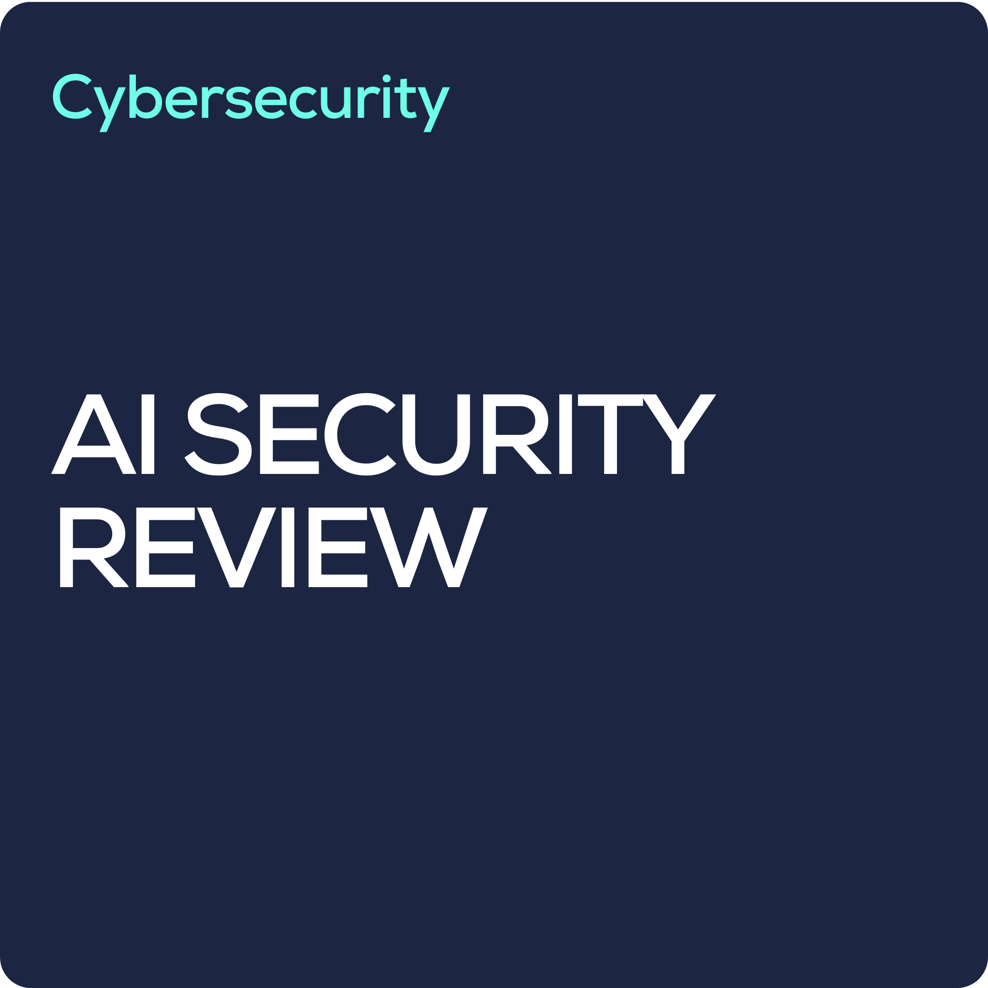 Penetration Testing (2).png