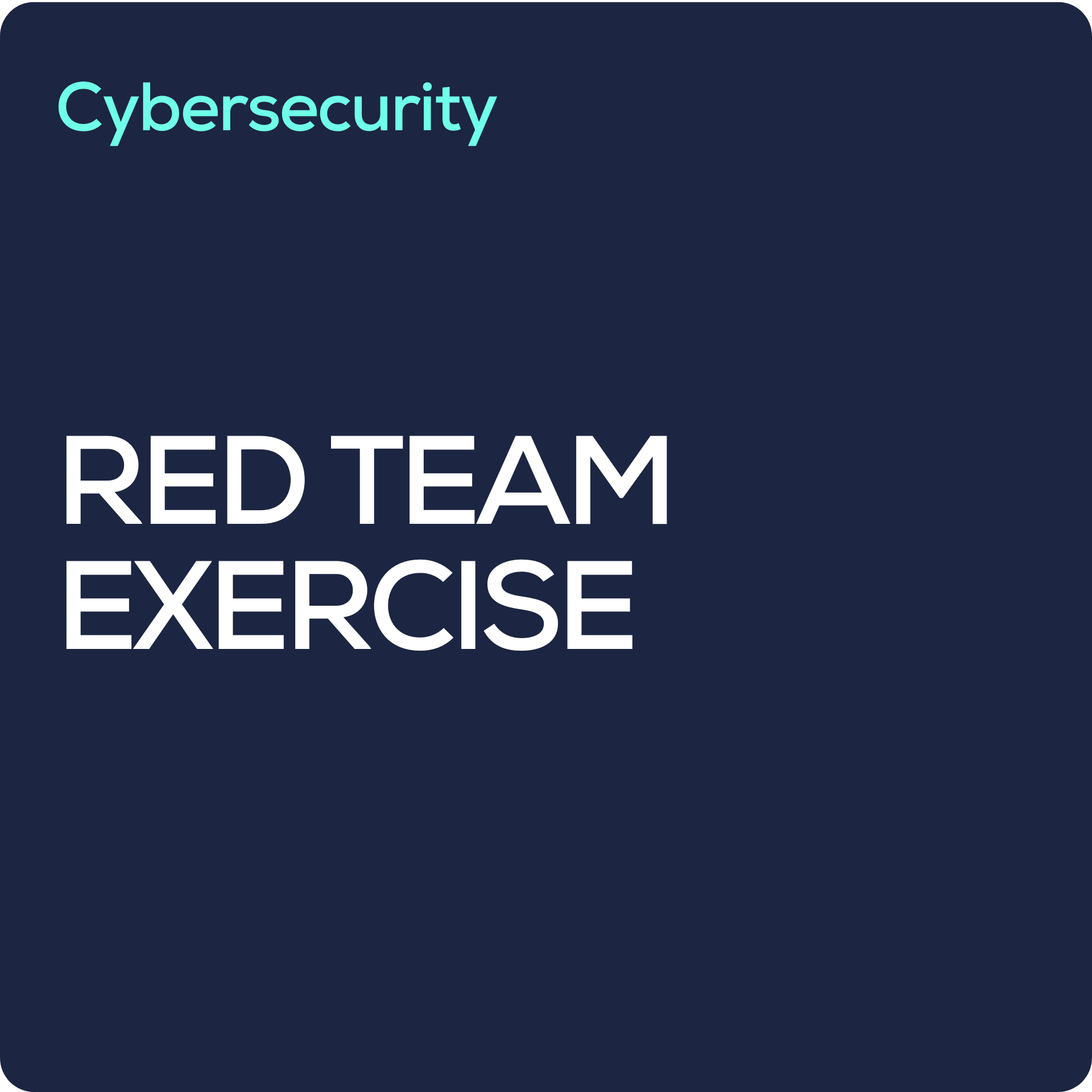 Penetration Testing (3).png