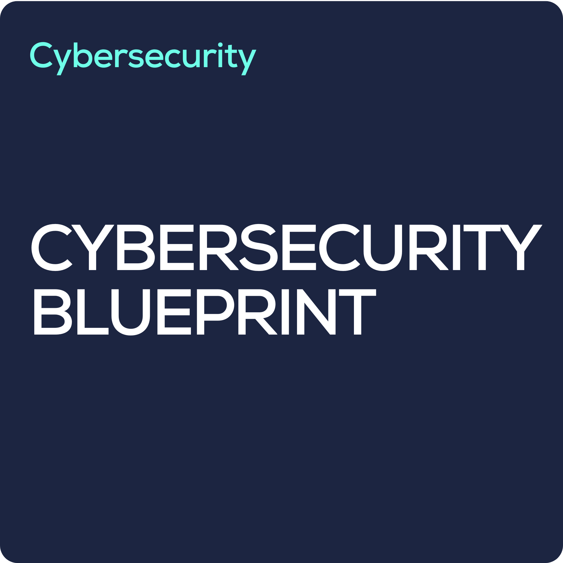 Penetration Testing (4).png