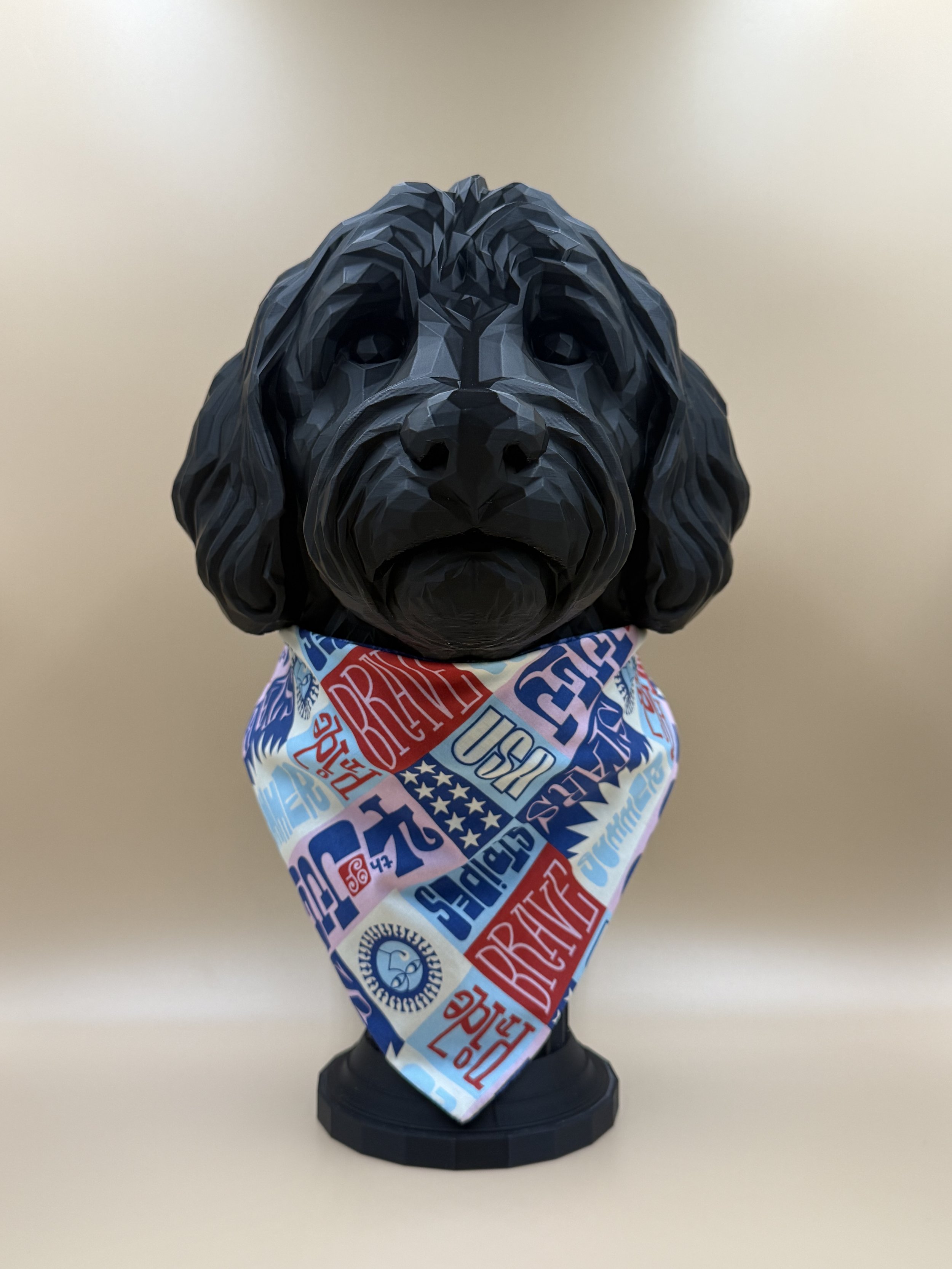 Liberty Paws Reversible Dog Bandana