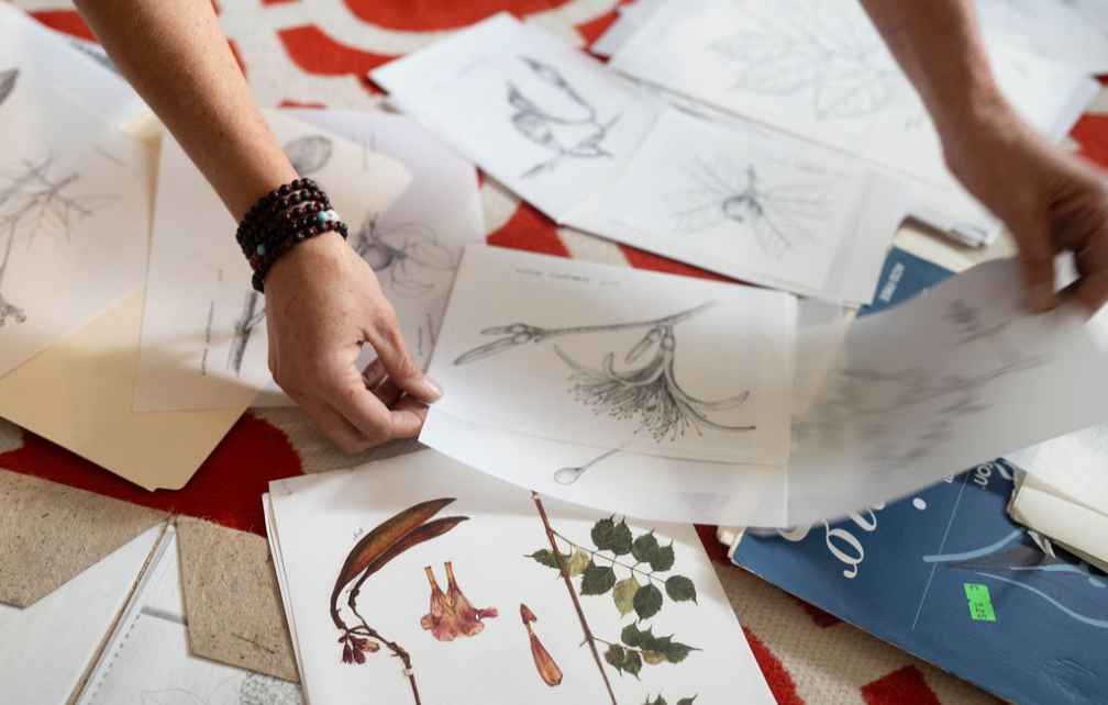 Gini Knight organizing pages with botanical illustrations and sketches on a patterned red and white surface.