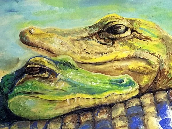 Pastel drawing of alligators by artist Gini Knight
