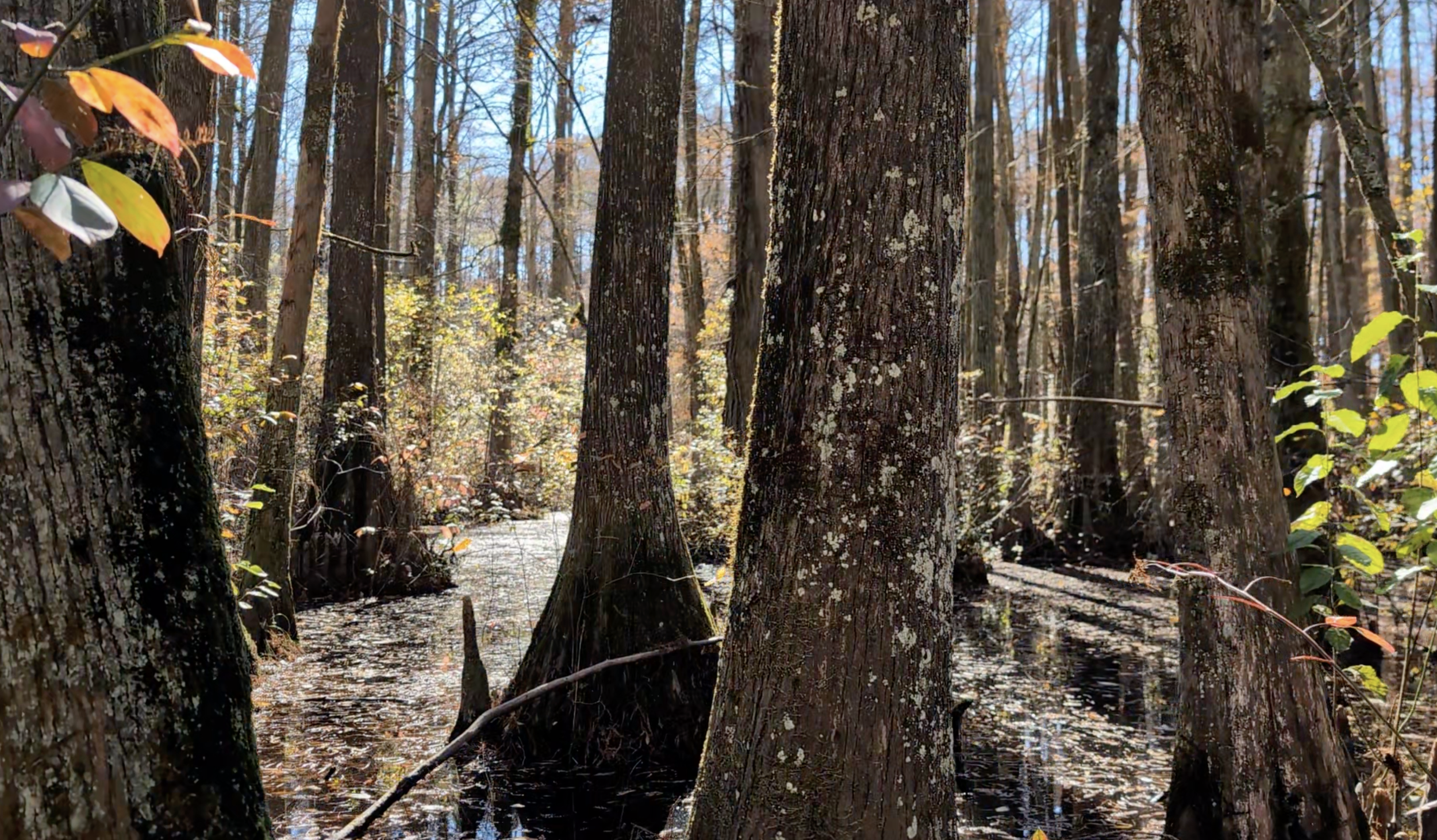 Screenshot 2025-11-19 at 4.36.38 PM.png