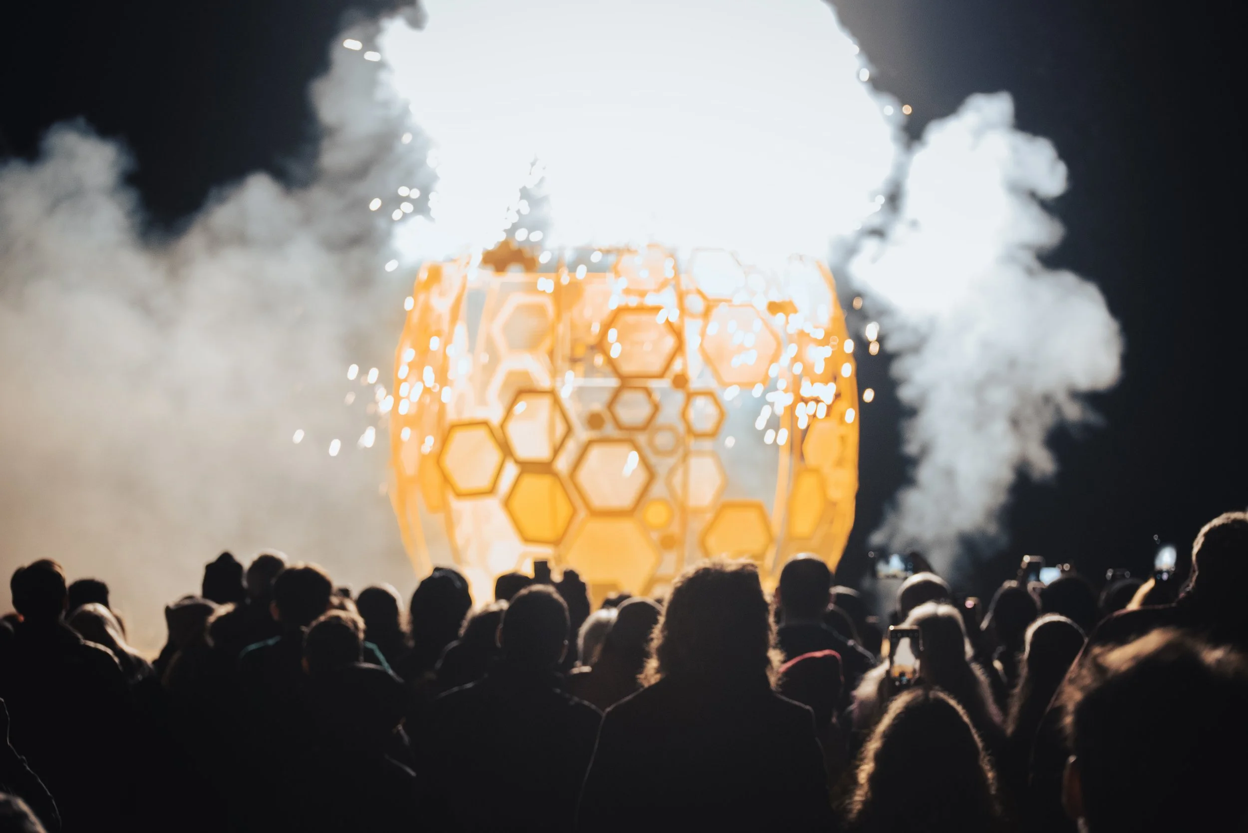 Mesmerised By The Spectacle I | HoneyPot