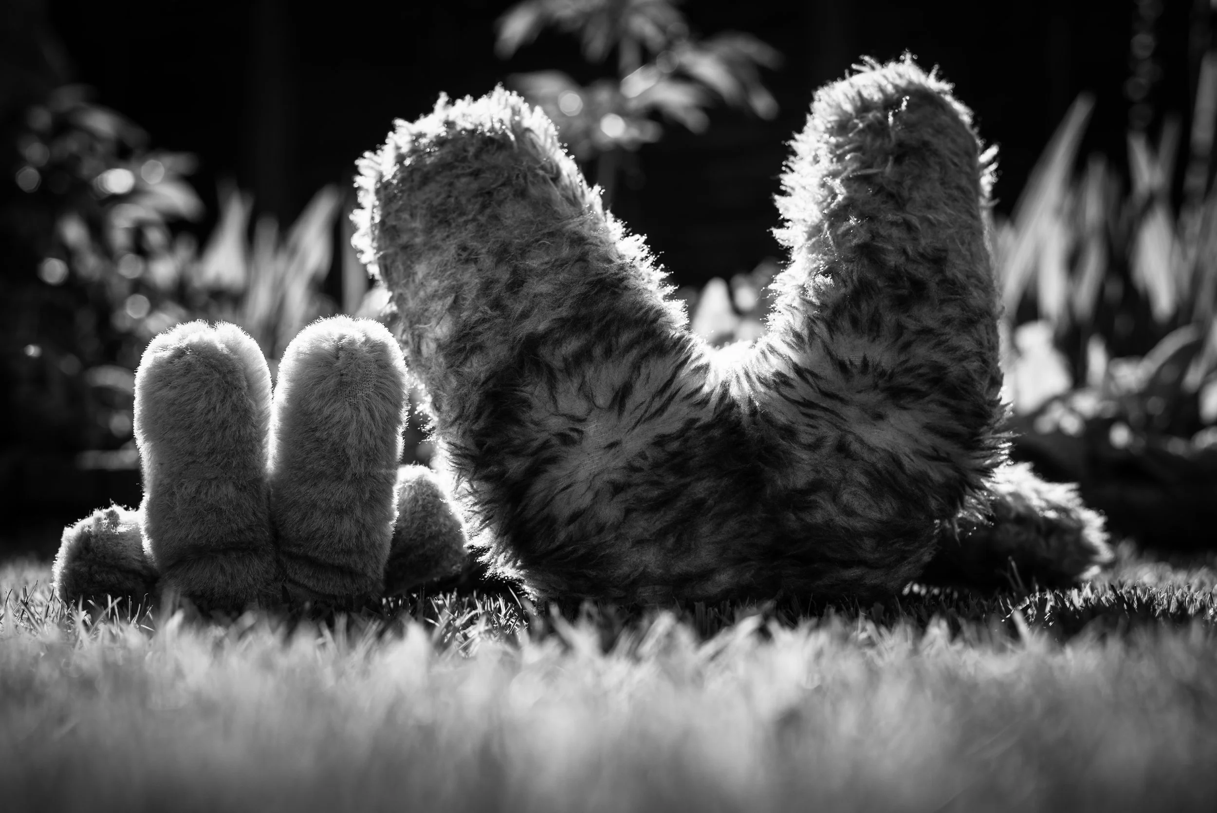 Looking Up Reminds Me That There's So Much More To Explore