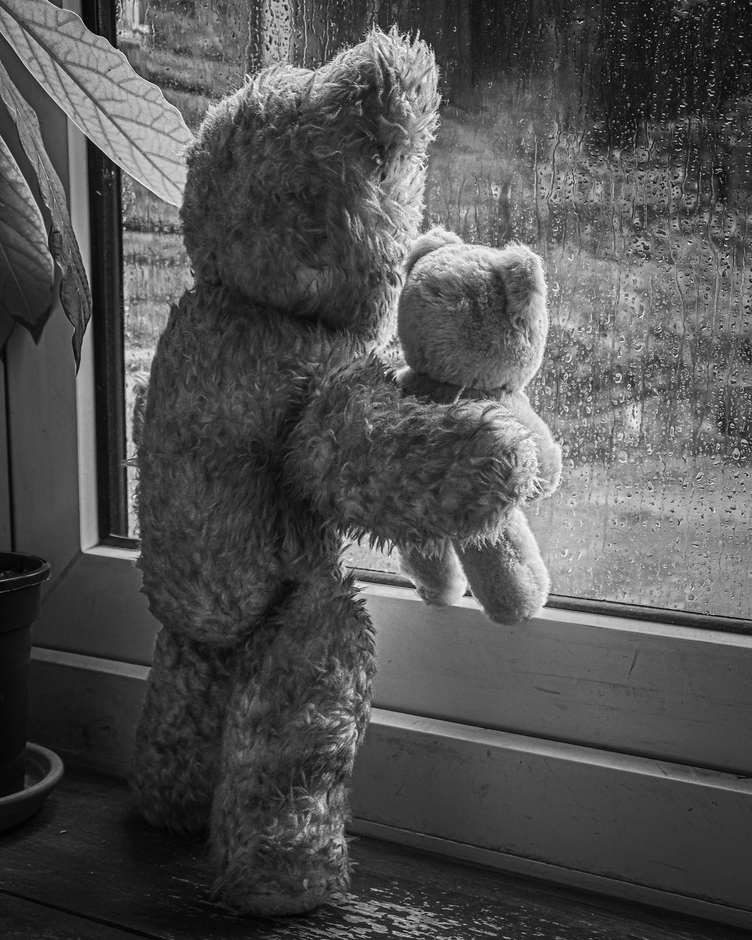 You Raise Me Up So I Can Stand On Mountains