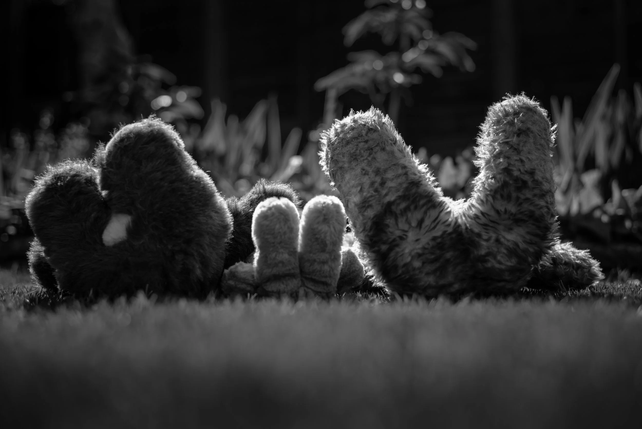 When Life Gets Tough, Remember to Look Up and Find Beauty In The Little Things