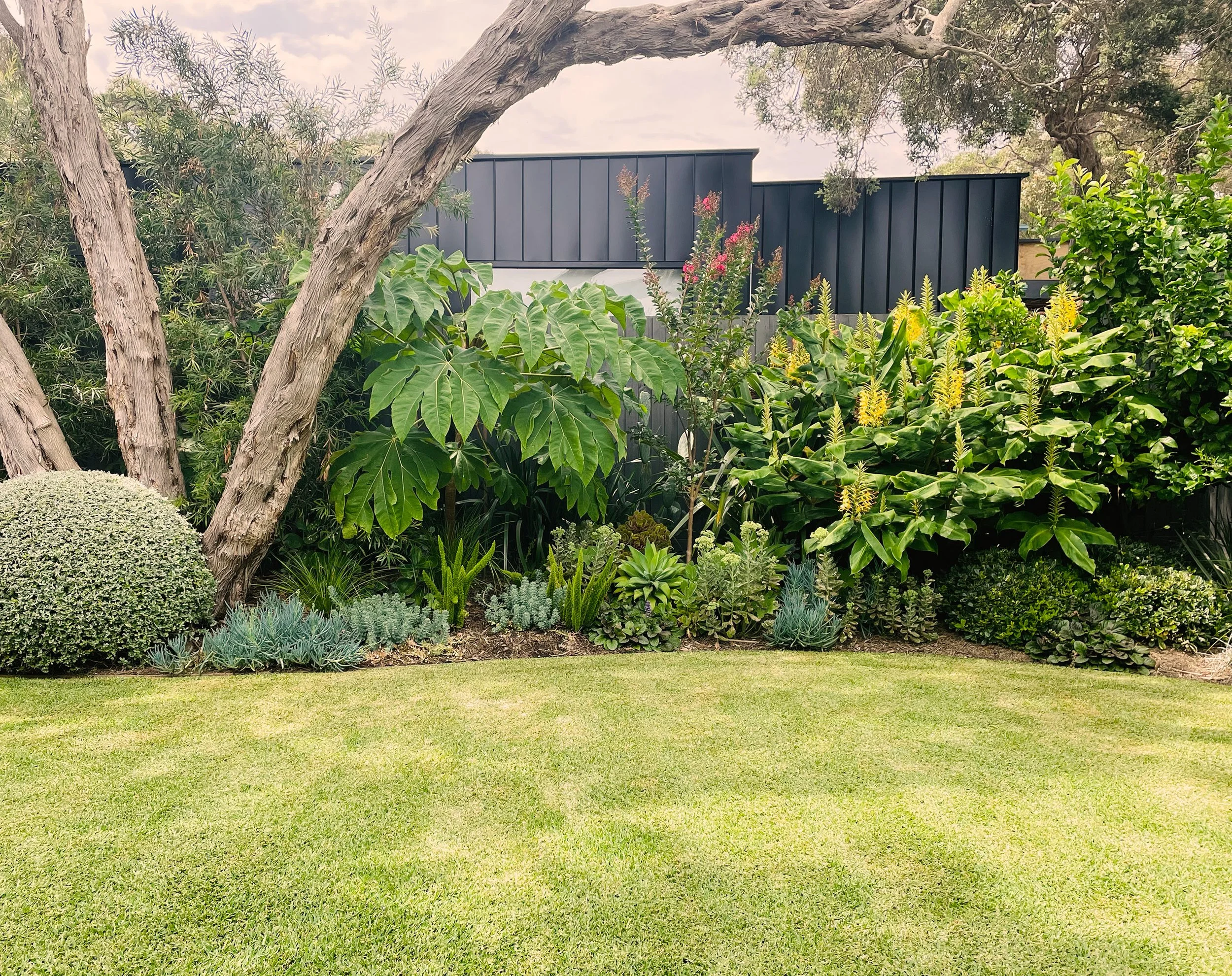 A well-maintained garden with lush green grass, various plants, and trees against a modern black fence in the background.