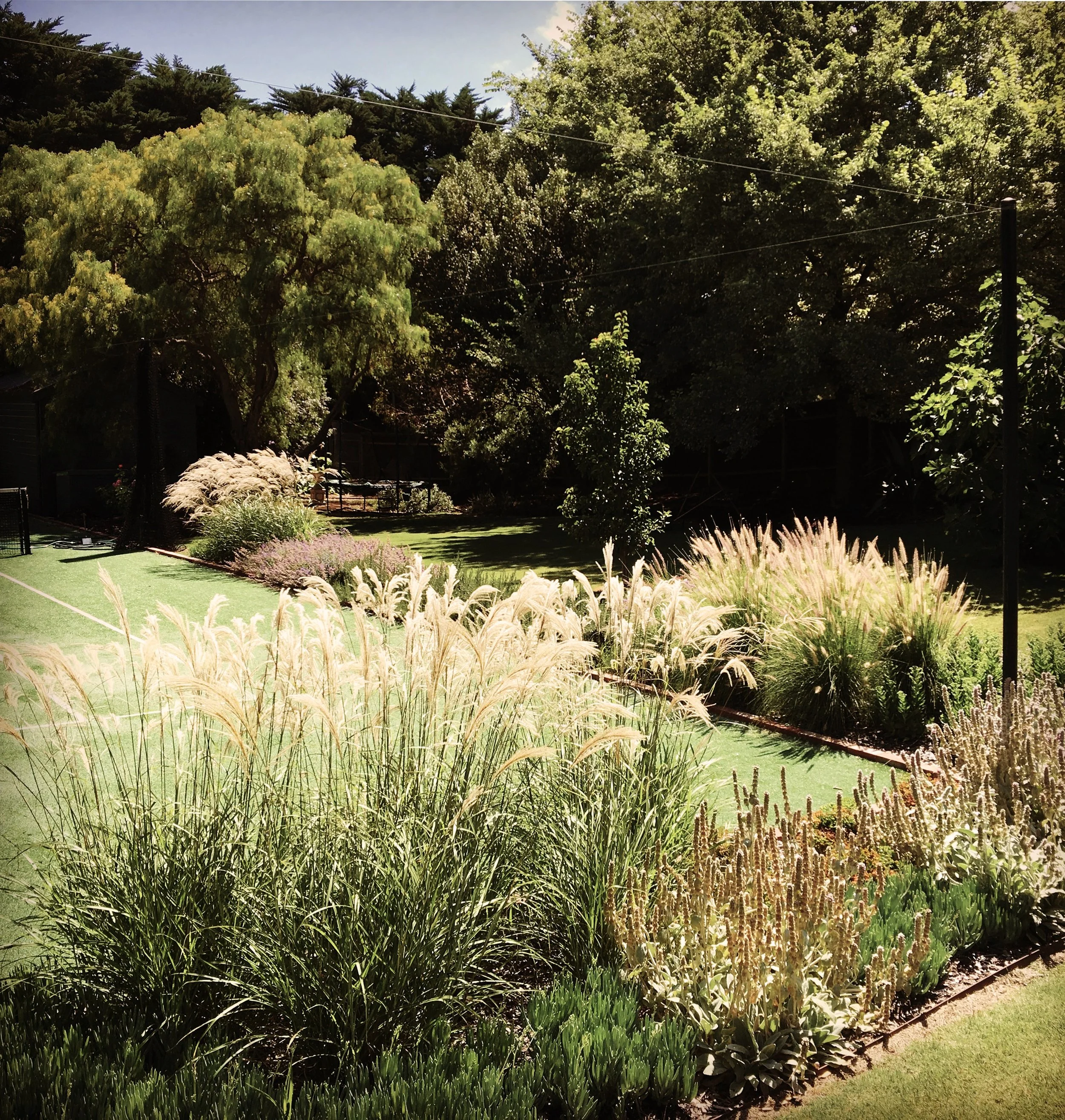 Lush garden with ornamental grasses, flowering plants, and trees under a clear blue sky