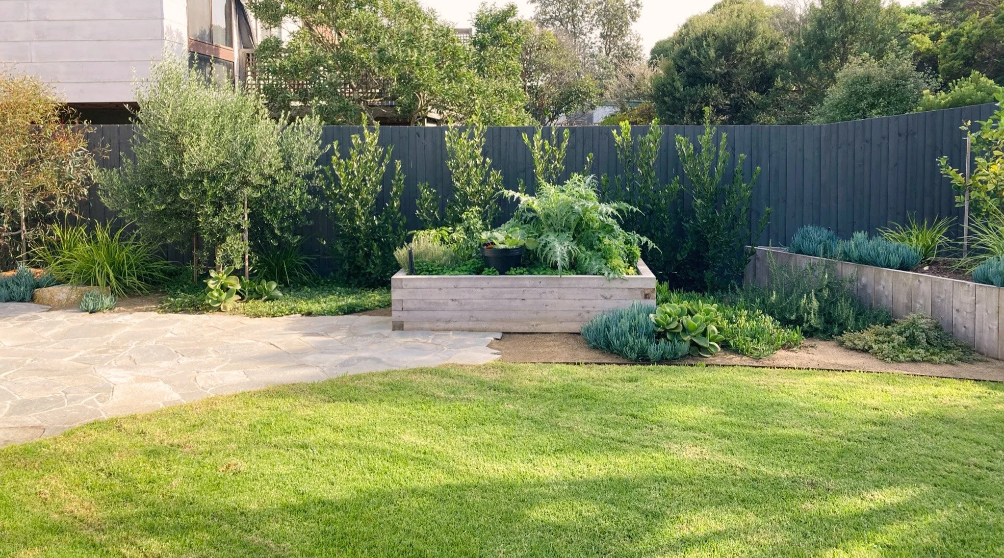 A backyard garden with a stone pathway, green grass lawn, planters with various plants, and a dark wooden fence, with trees and shrubs in the background.