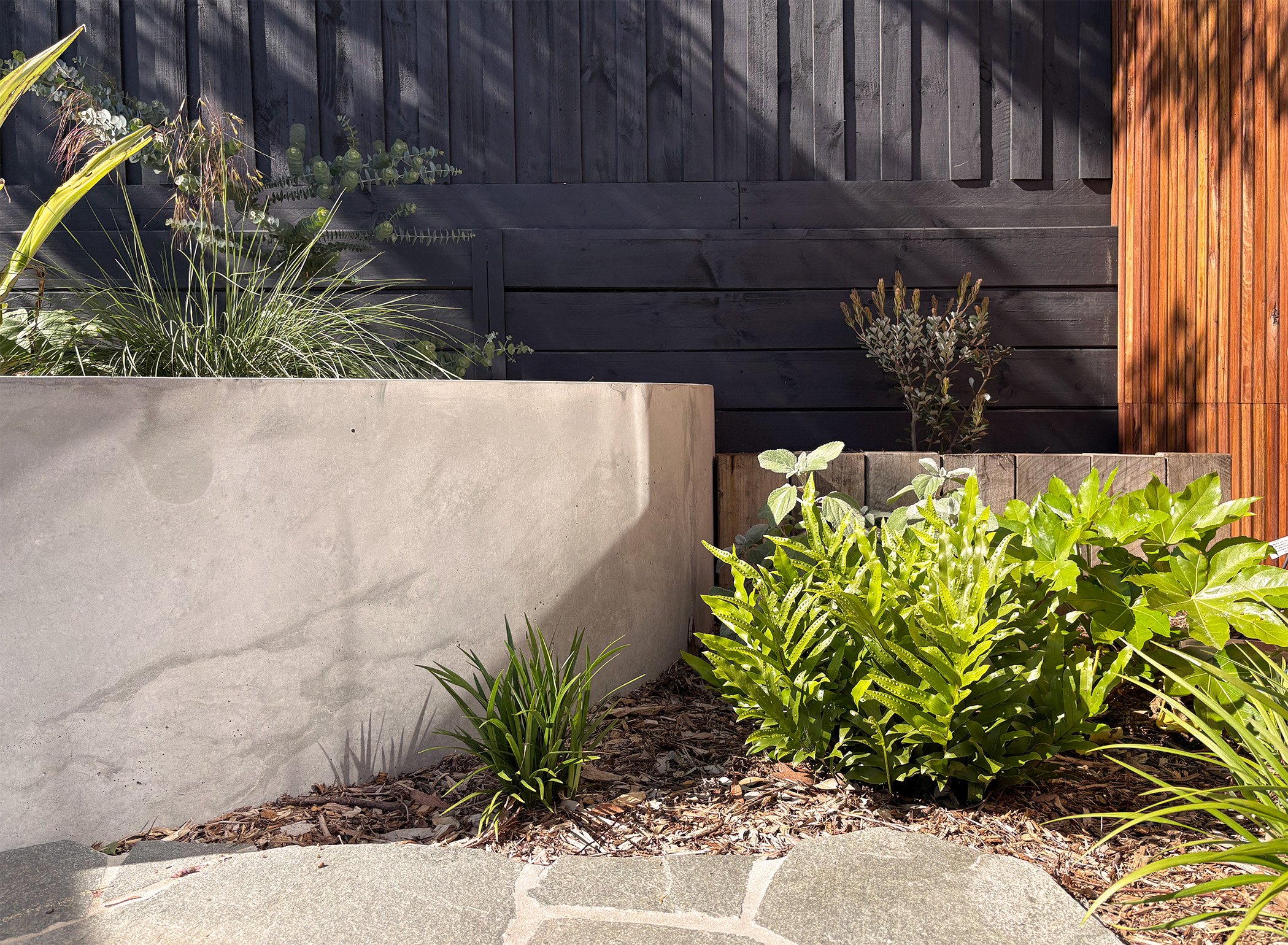 Garden bed with various green plants and shrubs, concrete wall, and a wooden fence in the background, sunny weather.