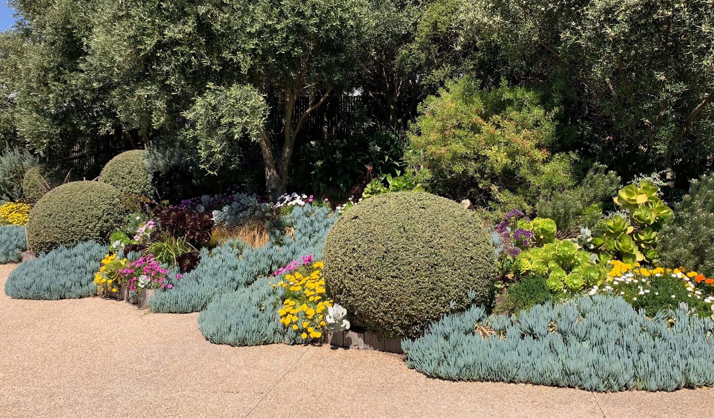 A landscaped garden with rounded bushes, colorful flowers, and various green plants.