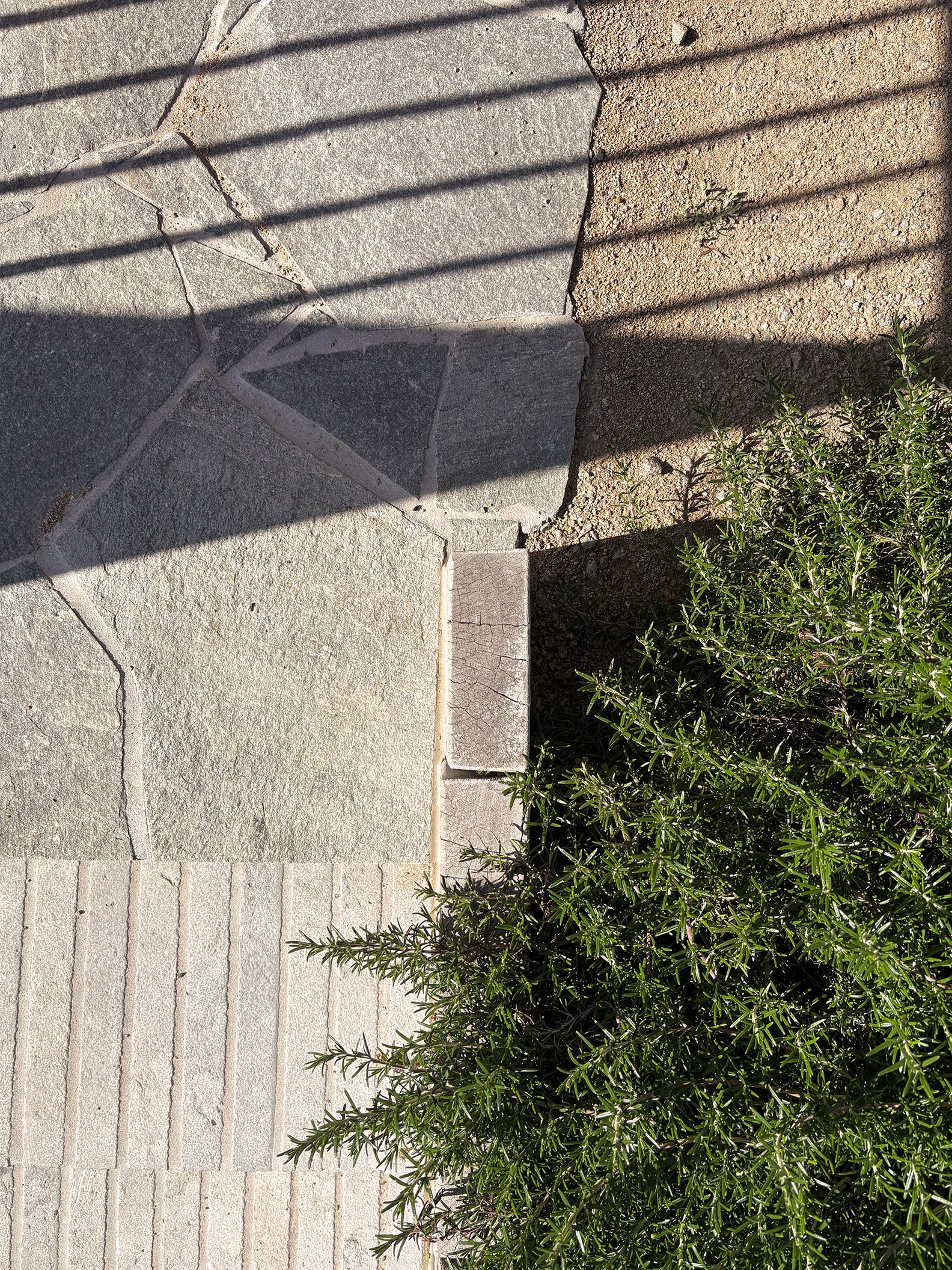 Close-up of a paved stone walkway with various shapes and colors, partially covered by sunlight and shadow from nearby slatted structure, with green shrubbery along the edge.