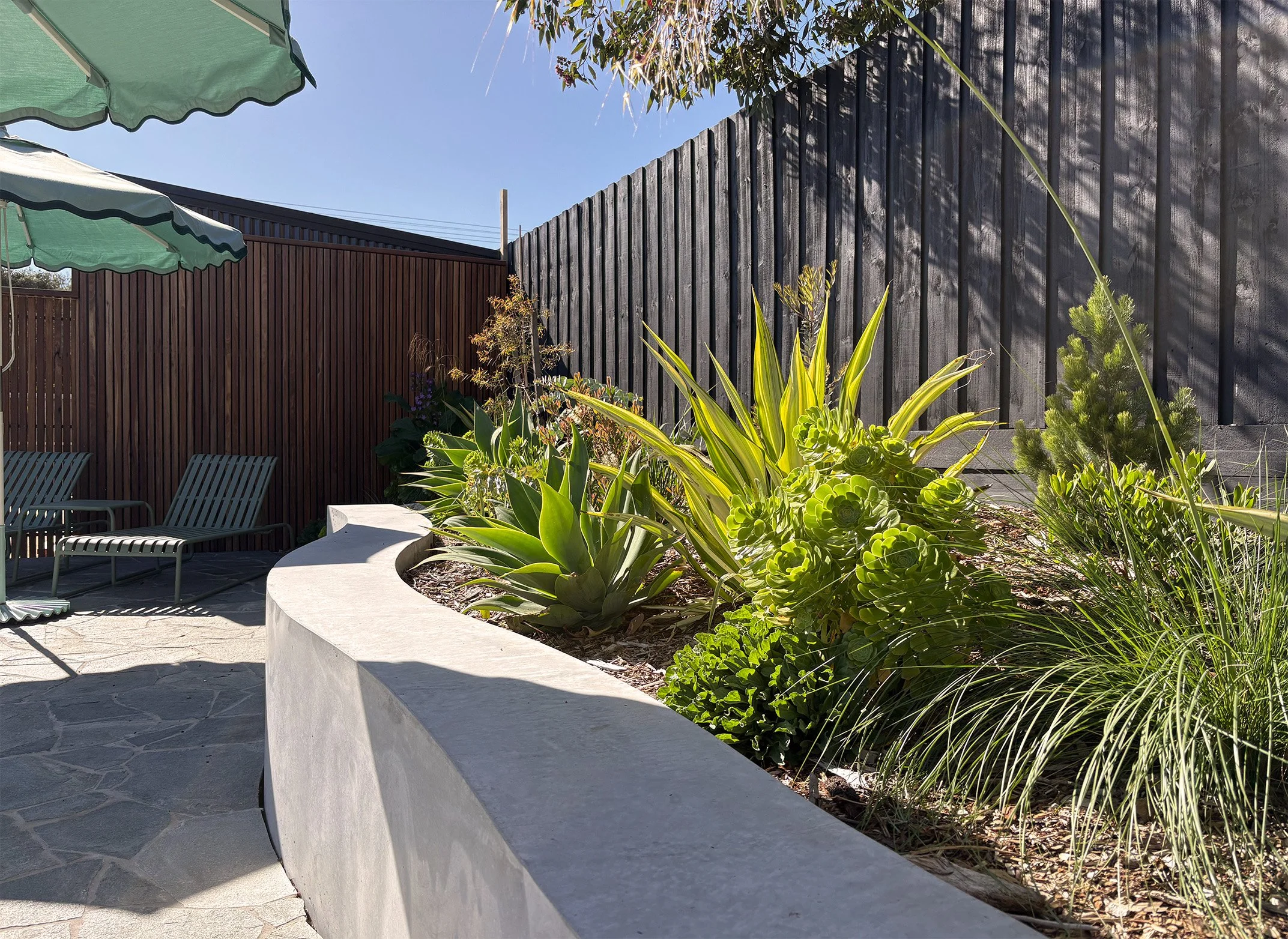 Sunny backyard with a garden bed filled with succulents and grasses, a stone patio with two green lounge chairs, a green and white umbrella, and a black wooden fence.