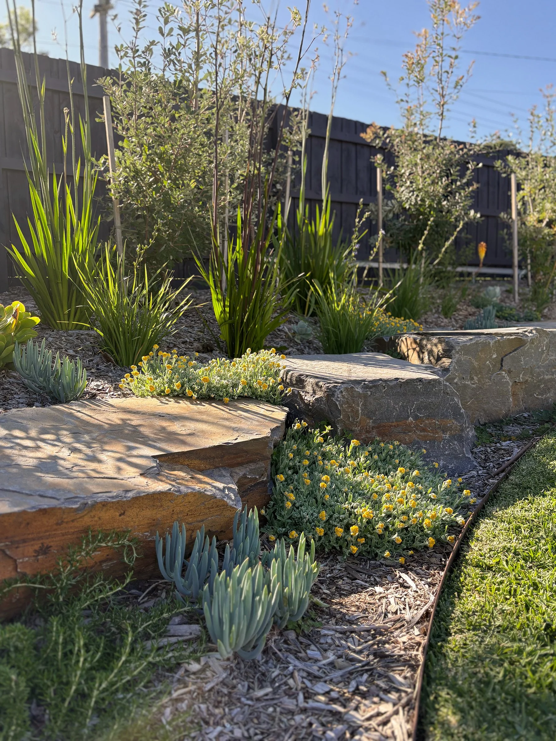 A landscaped garden with large rocks, green plants, and yellow flowers, enclosed by a wooden fence under a blue sky.