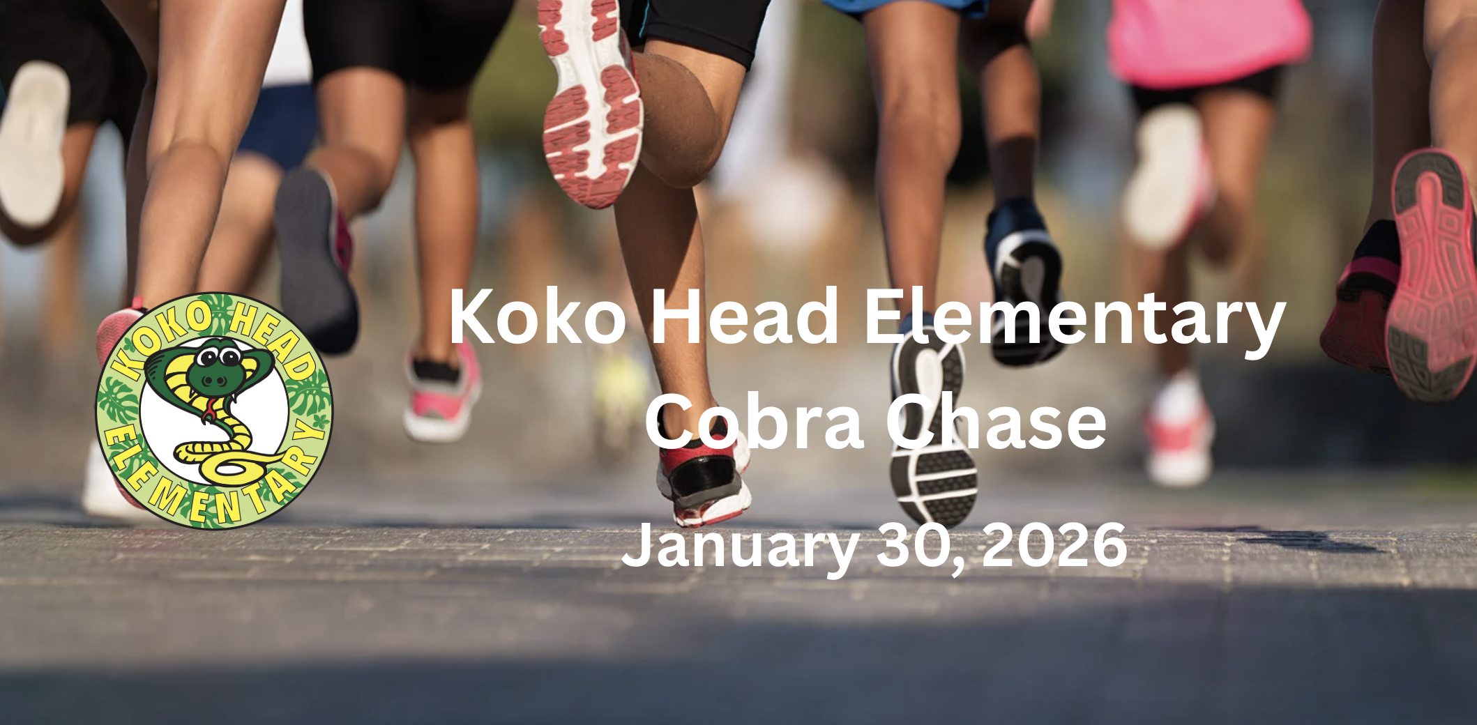 Cobra Chase: A Community Story About Showing Up for Our Keiki
