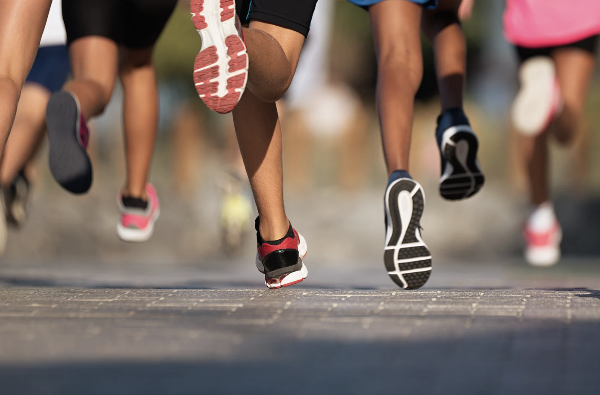 Cobra Chase: A Community Story About Showing Up for Our Keiki