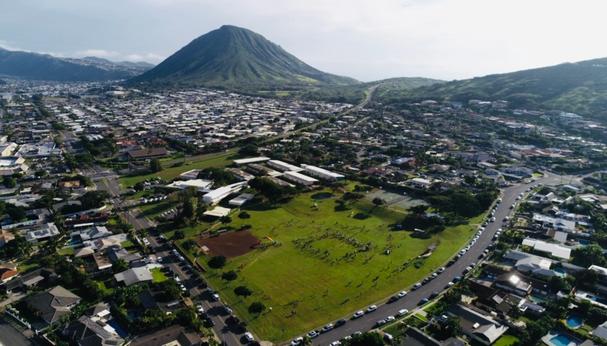 The Results are in for Cobra Chase