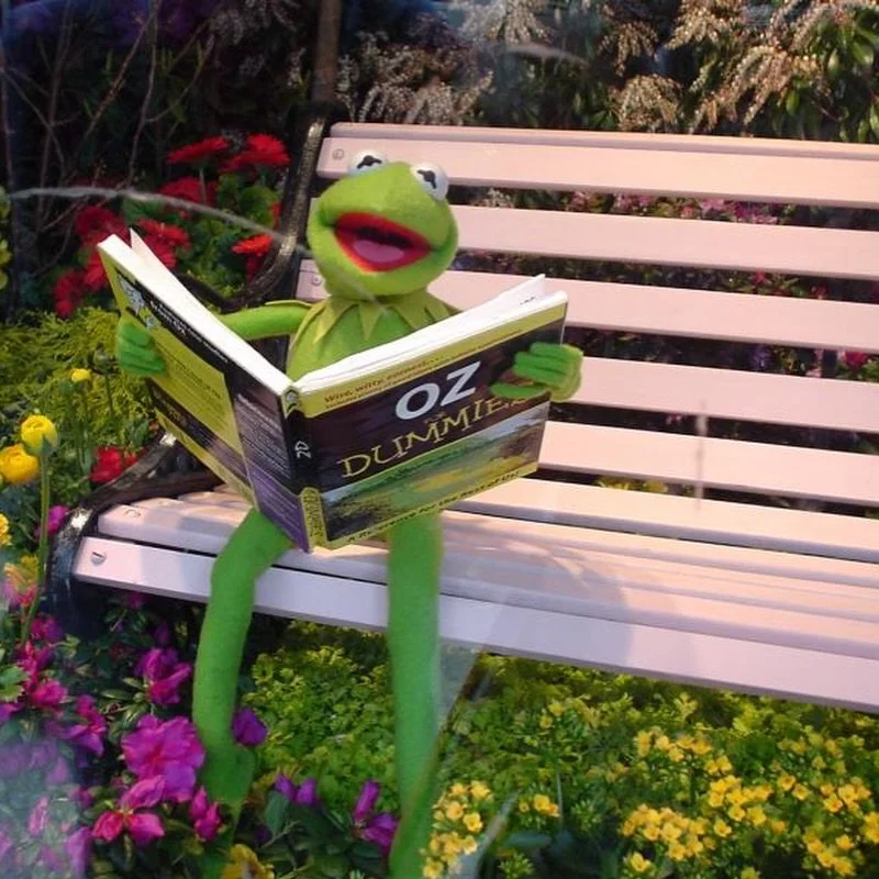 🐸🐽 In April 2005, Macy&rsquo;s 31st Annual Flower Show featured six STUNNING window displays in New York City, inspired by &ldquo;The Muppets&rsquo; Wizard of Oz.&rdquo; The film, starring @Ashanti as Dorothy Gale, would air later that month on Apr