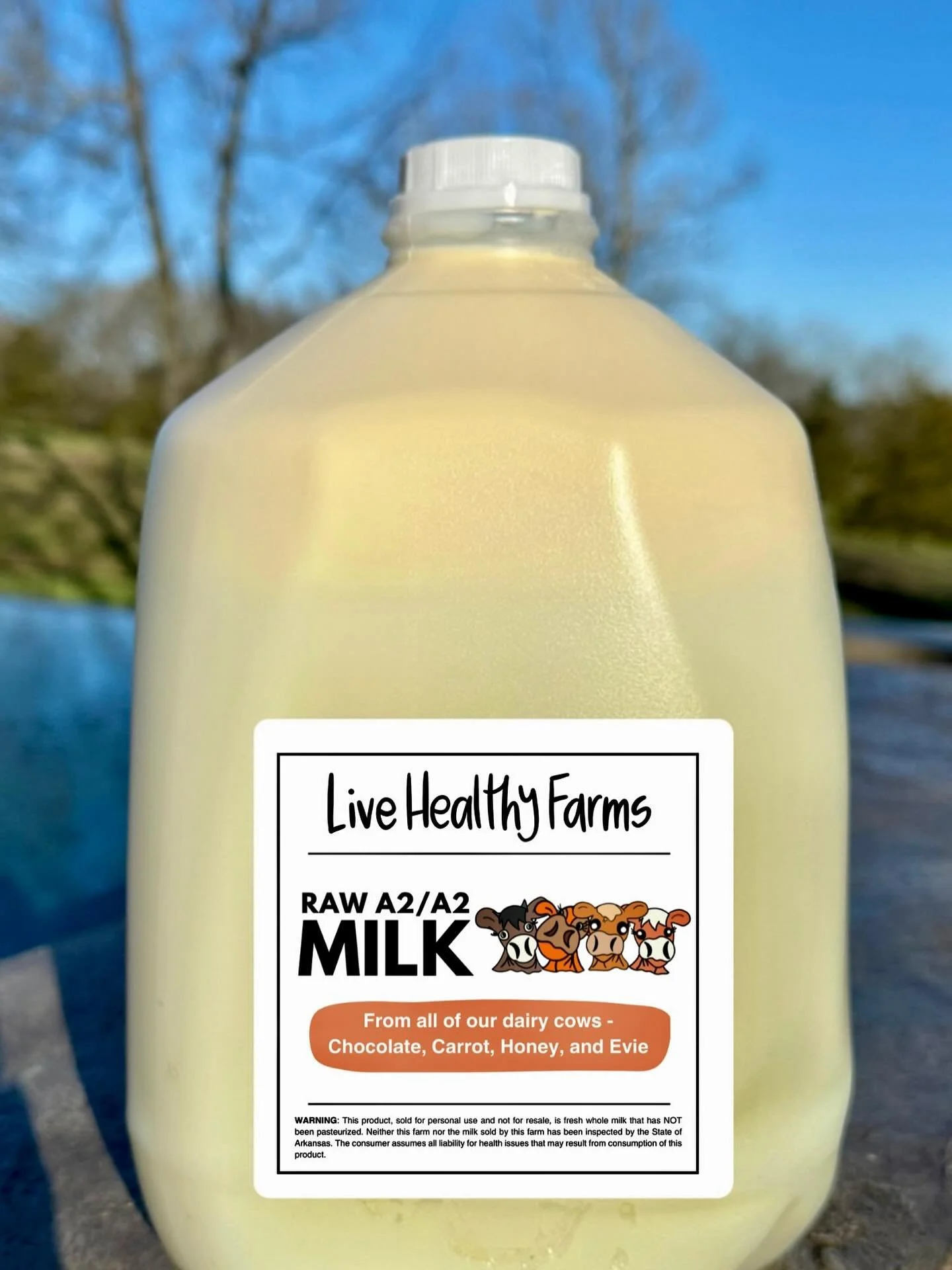 My friend Jenni Yang did it again with our new milk sticker. This time she added Evie, our sweet new Guernsey cow, making it the 4th edition. 😂

These cows, like all of our animals, are raised regeneratively and fed the best forage and organic feed.