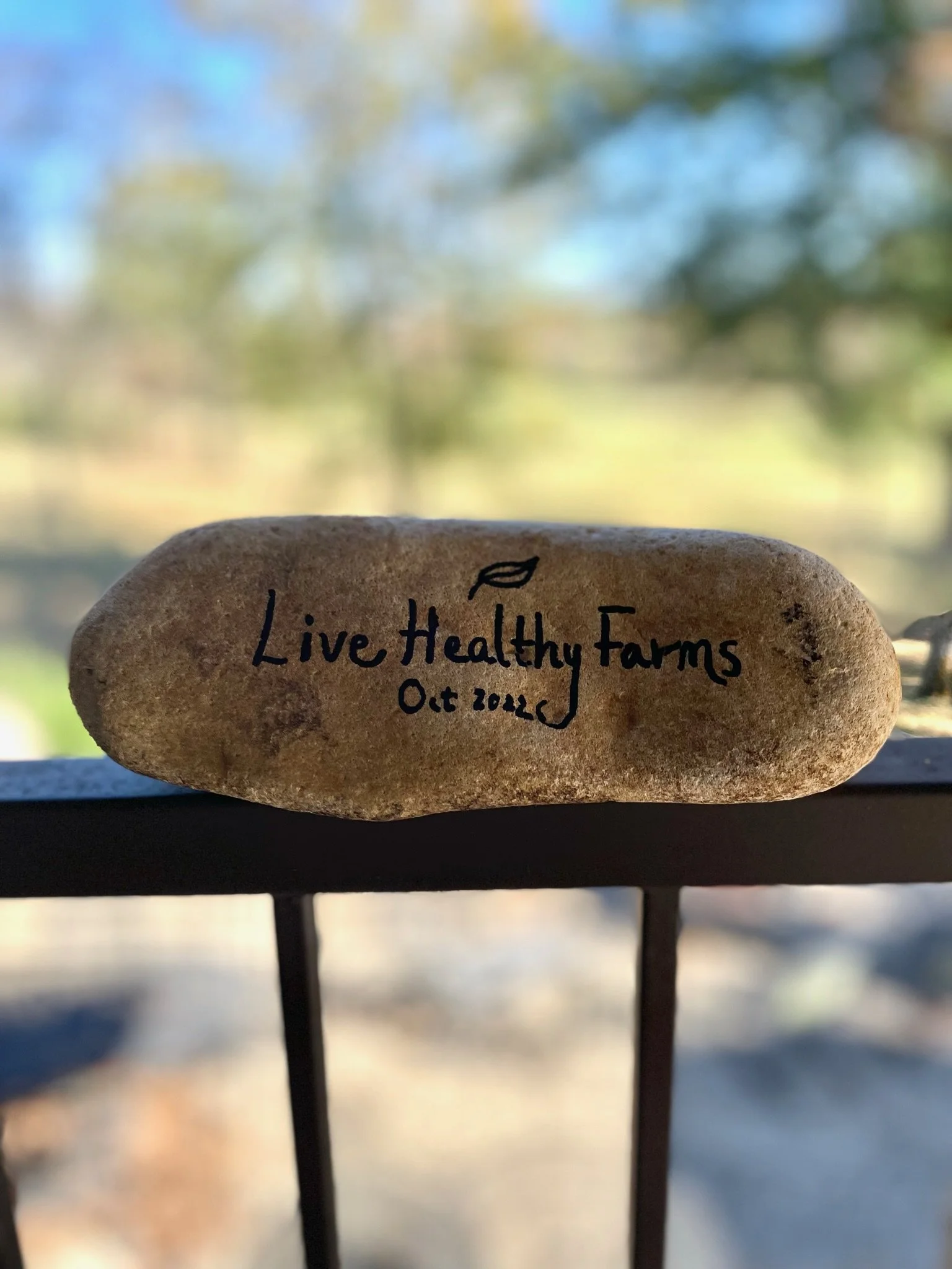 A stone with handwritten text reading 'Live Healthy Farms' and 'Oct 2023', with a small leaf drawing above the text, placed on a metal railing outdoors with blurred trees and sky in the background.