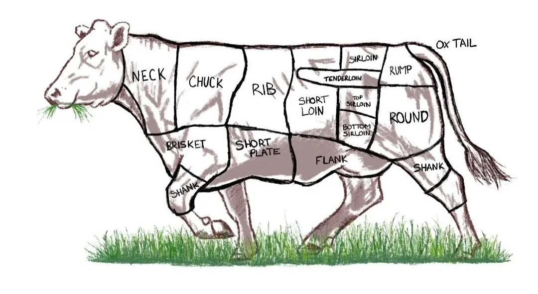 A diagram of a cow with labeled sections of the animal's meat cuts, including neck, chuck, rib, short loin, sirloin, round, flank, shank, brisket, short plate, and tenderloin, with some sections further subdivided. Live Healthy Farms - Hot Springs, A