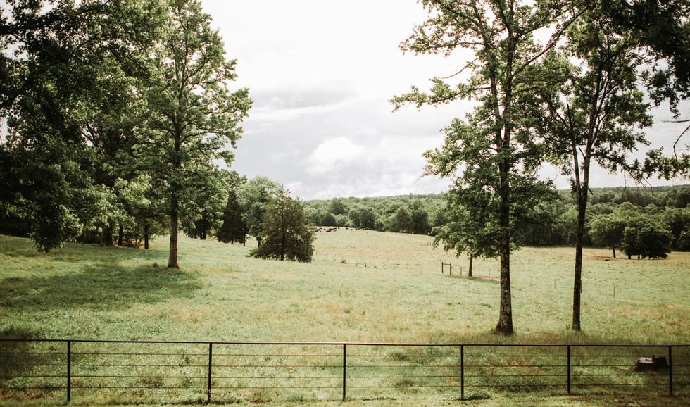 Open pasture with green grass, scattered trees, and a black metal fence in the foreground. Overcast sky with hints of sunlight.