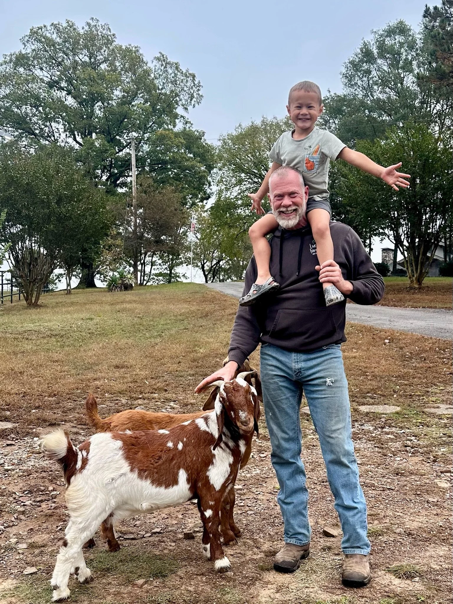 A man with a beard carrying a smiling boy on his shoulders, holding two goats by their horns, outdoors in a park with trees and a dirt path.