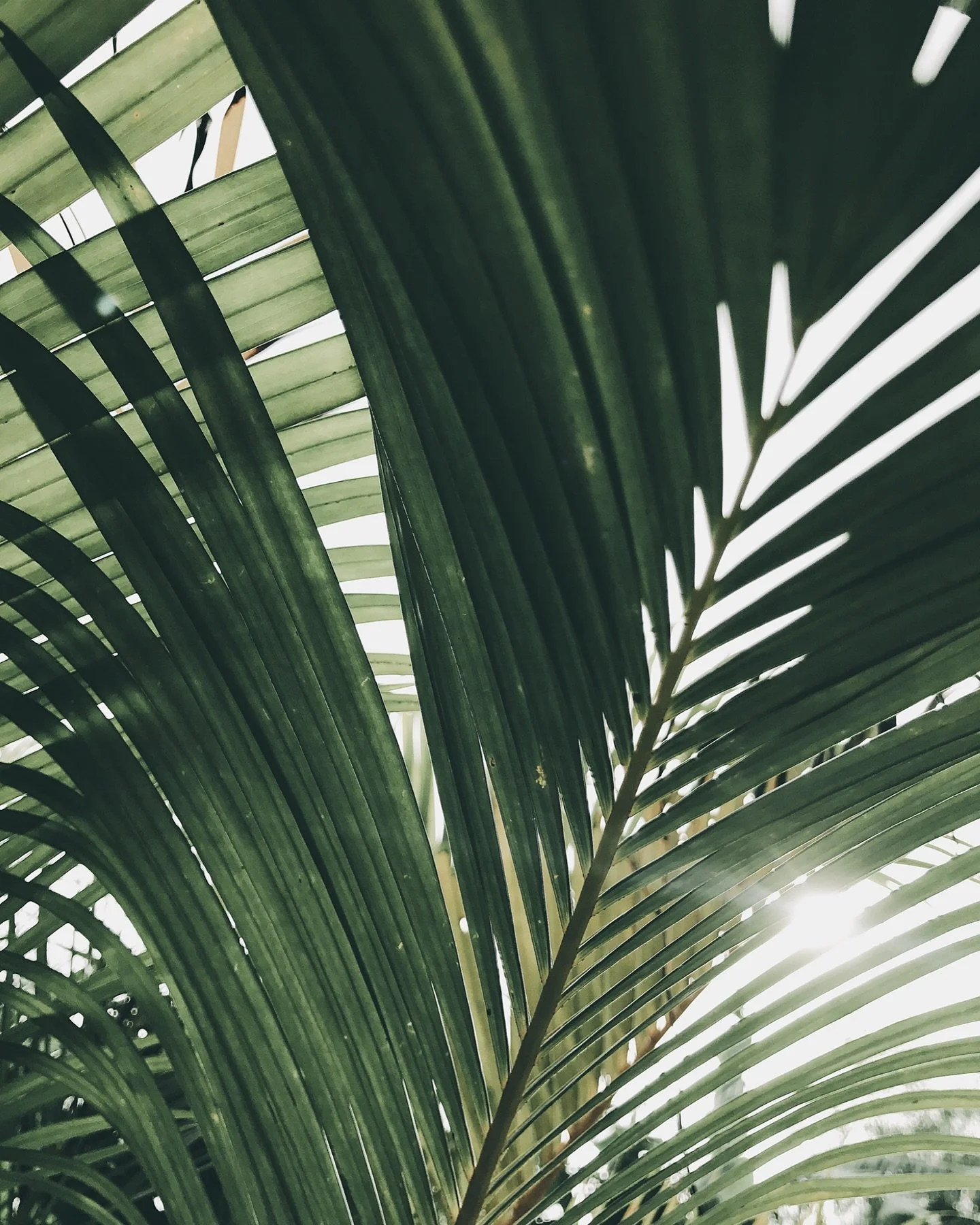 A retreat to pause, heal, and gently recover. #StretchworksBali #BaliIsland #balidaily