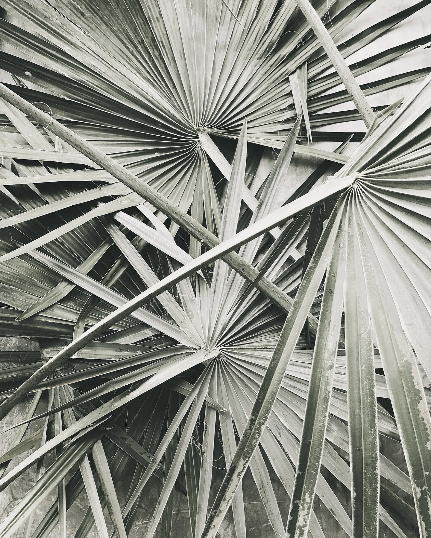 Stretchworks wishes you a blessed Caka New Year and Eid Mubarak. May your heart be cleansed, your soul renewed, and the year ahead be filled with peace and blessings~

#StretchworksBali