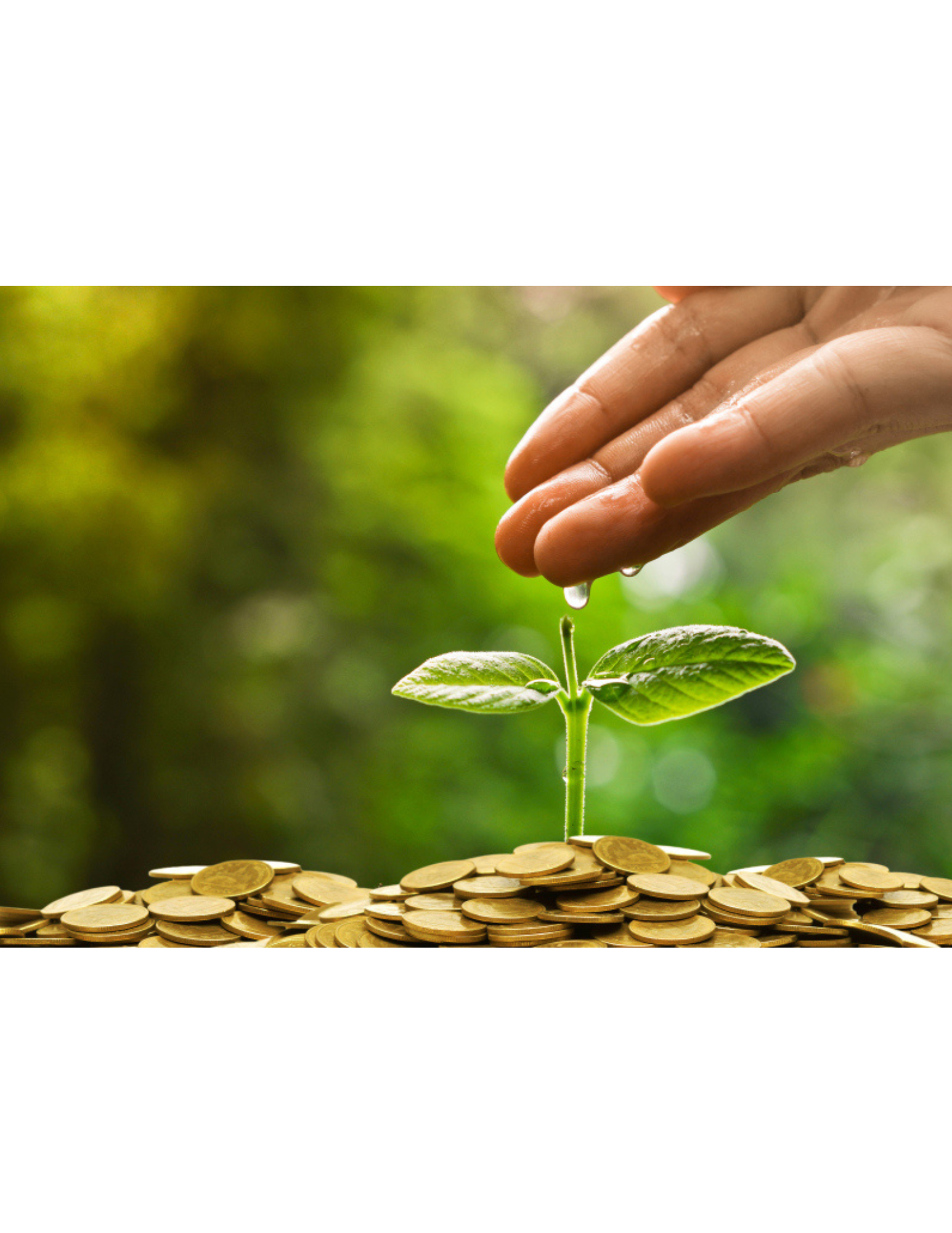 AMAZON PRODUCT LINE W-DESCIPTIONS (18).png